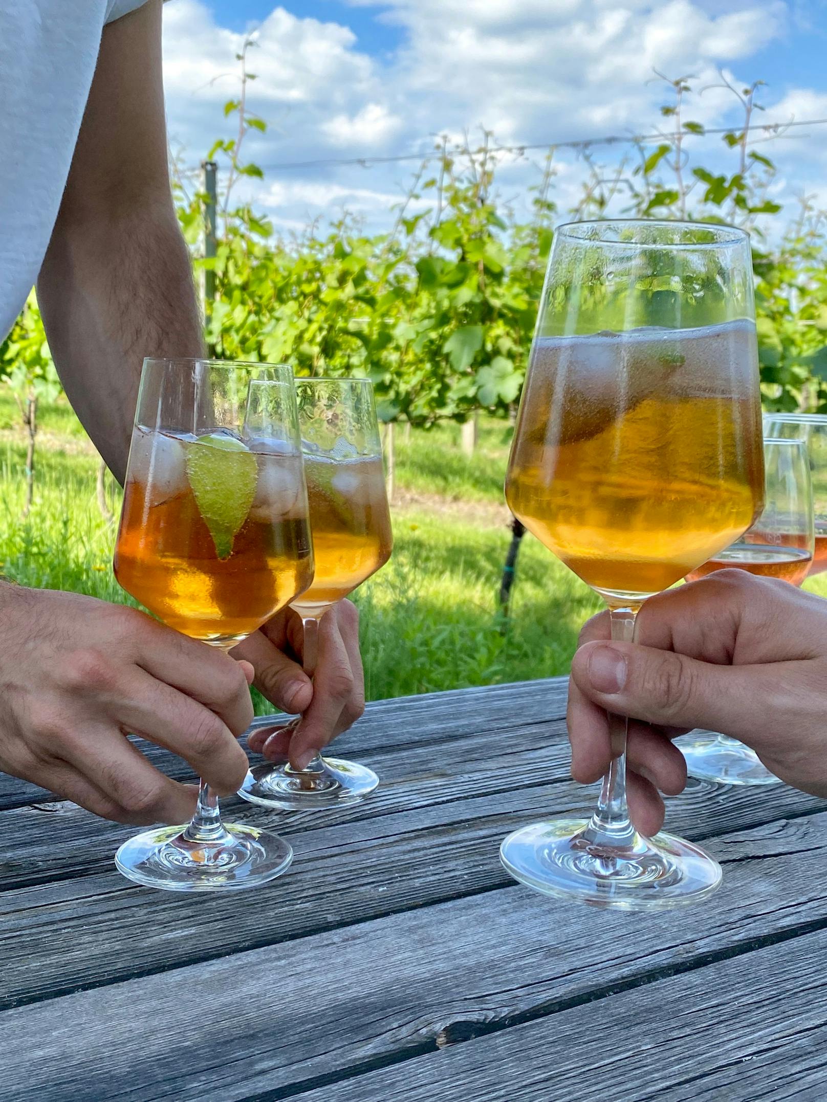 Der Negroni Sbagliato wird mit hausgemachtem Wermut in Kooperation mit dem Bio-Weingut Göbel aus Wien und dem L'Aperitivo von Nonino zubereitet.