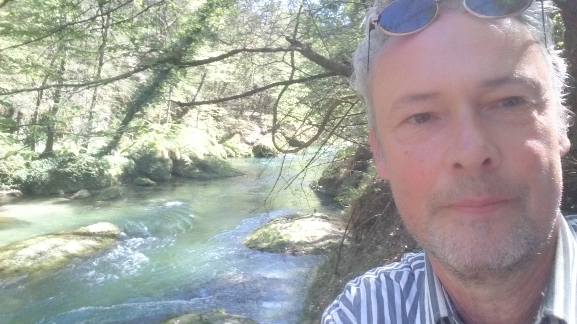 "Herr der Gelsen": Bernhard Seidel ist Insekten-Experte, Ökologe und Umweltaktivist.