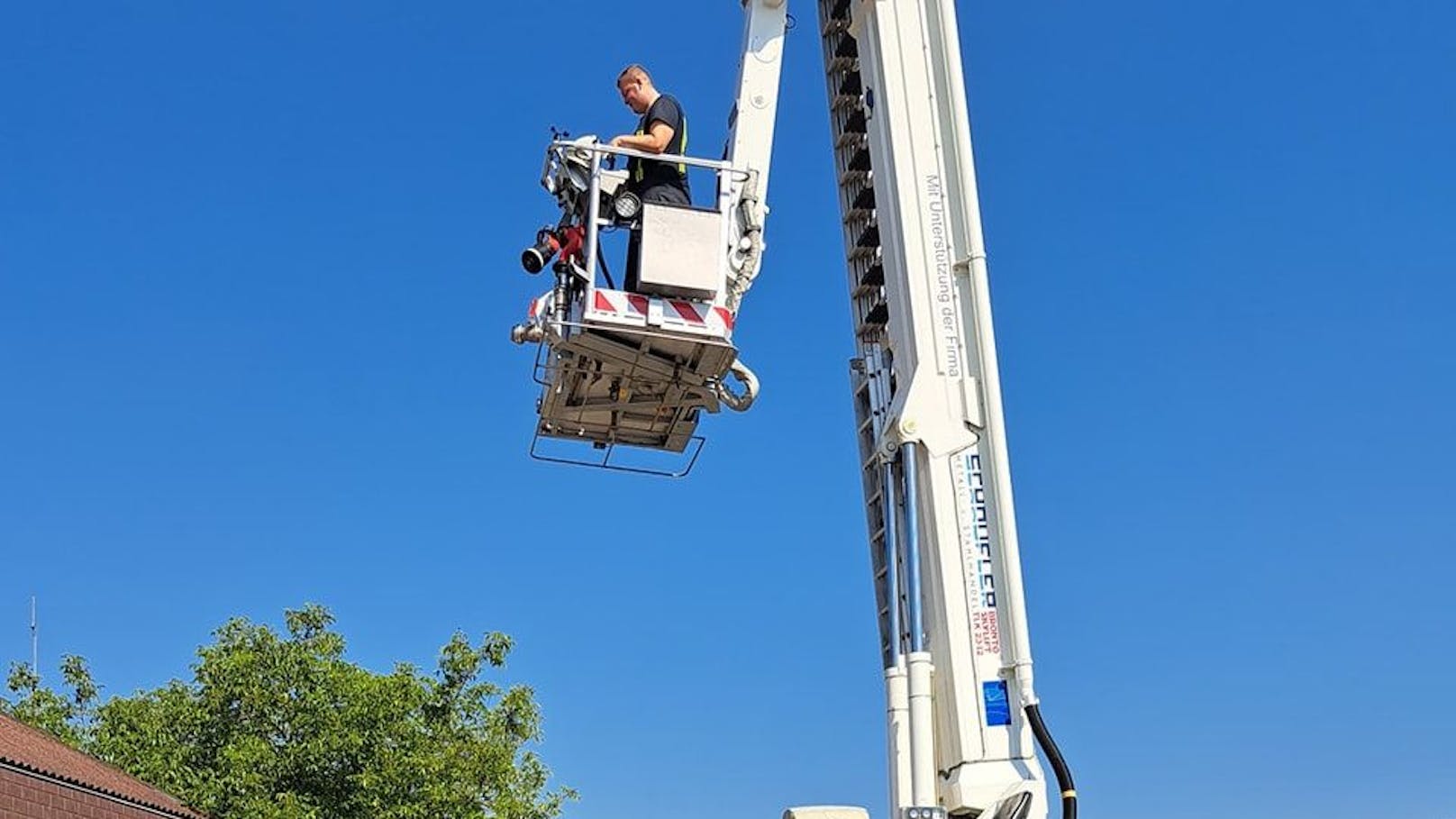 Feuerwehr rettete Jungfalken aus Kläranlage.