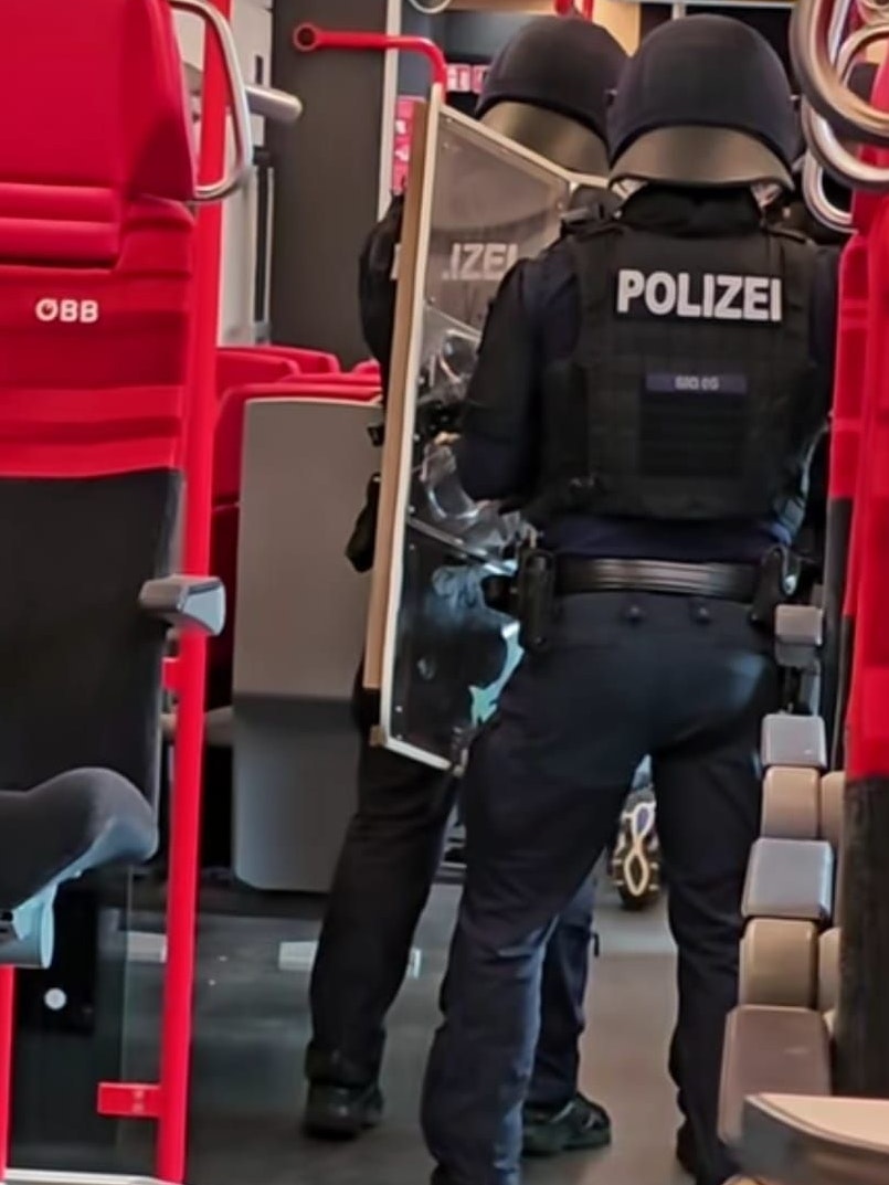 Ein Passagier filmte den Einsatz mit.