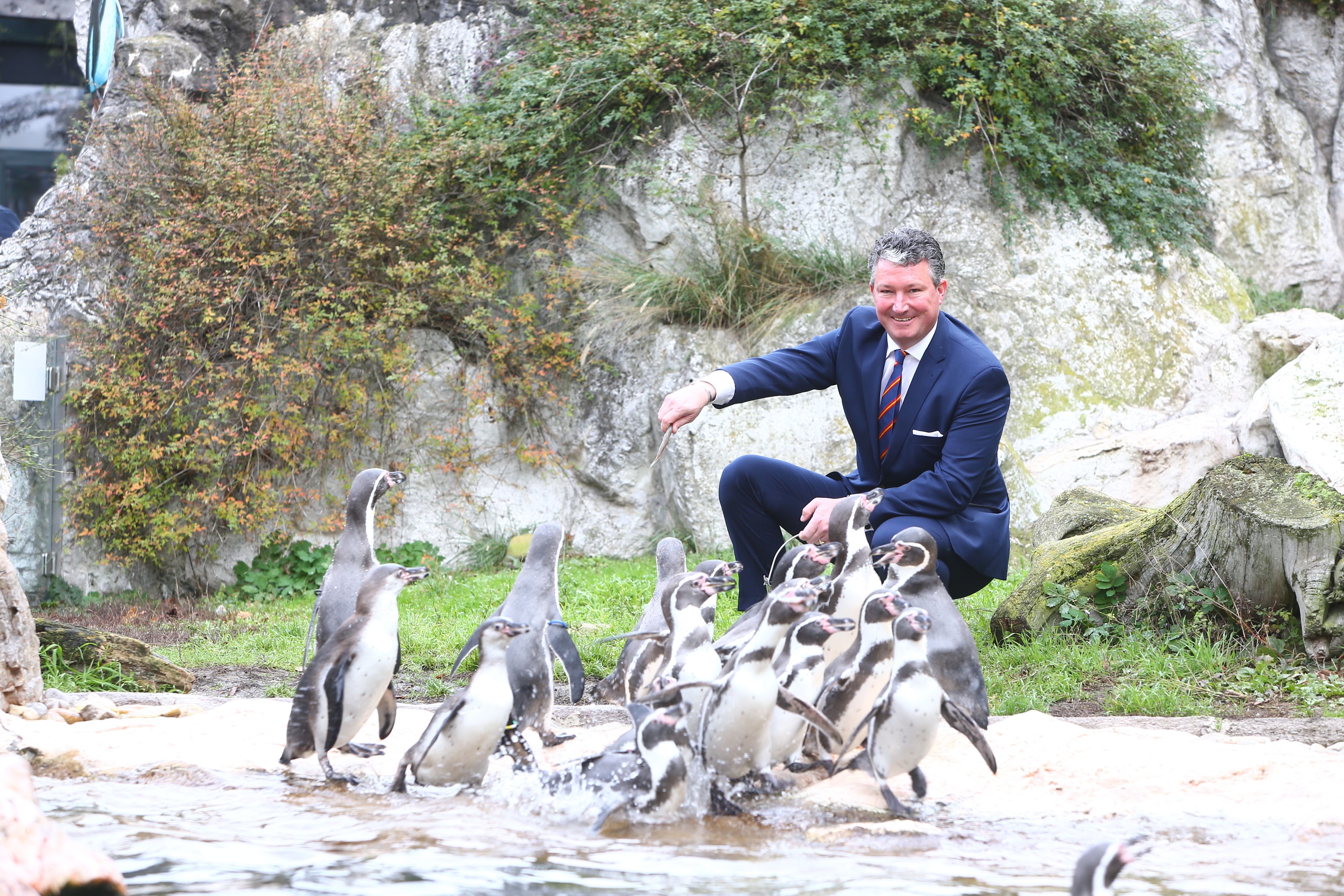 Stephan Hering-Hagenbeck bleibt Zoodirektor in Schönbrunn.