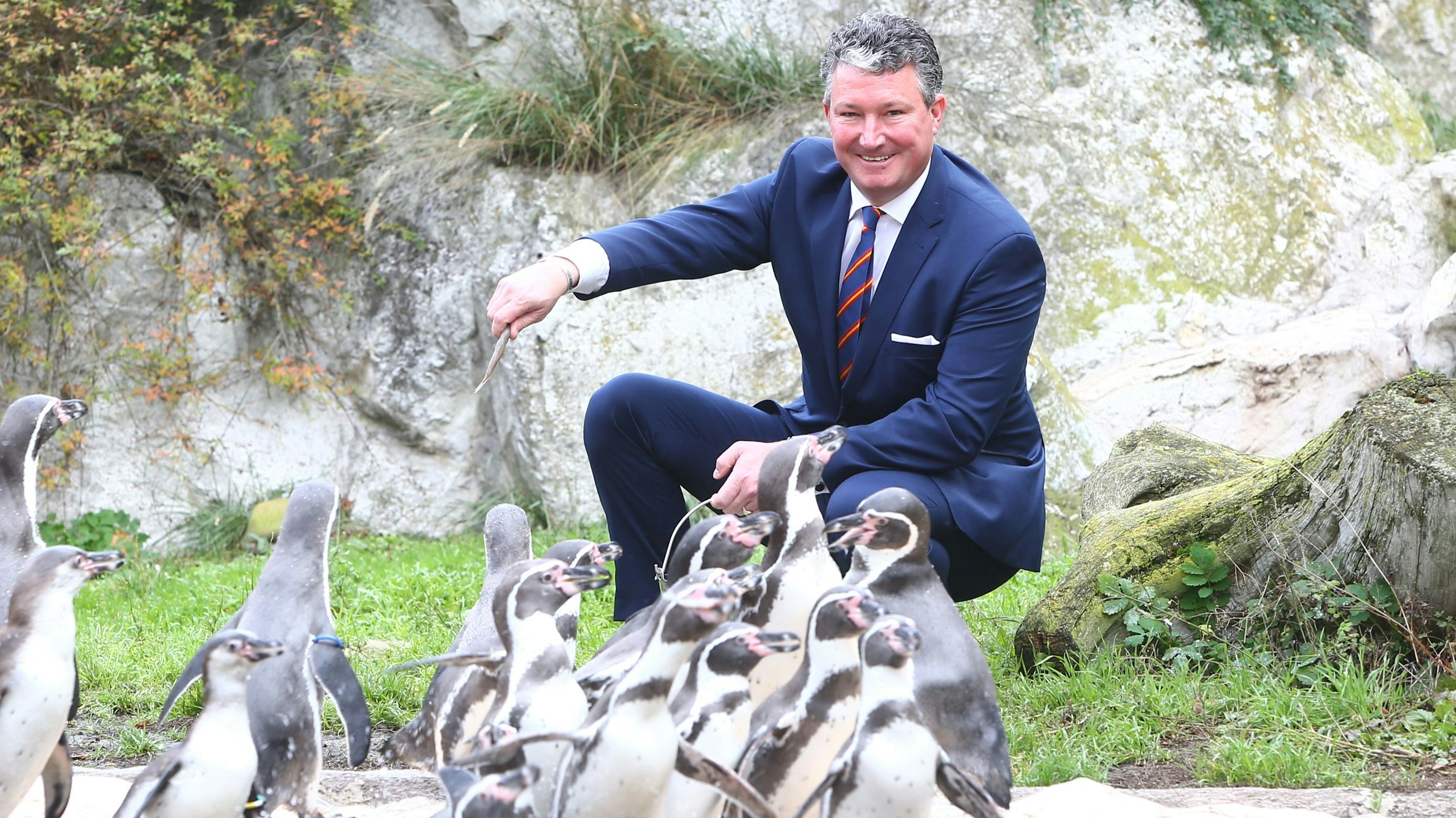 Stephan Hering-Hagenbeck bleibt Zoodirektor in Schönbrunn.