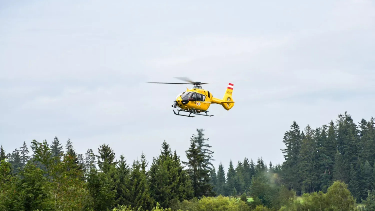 Heute.at - Jäger (59) stürzt von Hochsitz – schwer verletzt