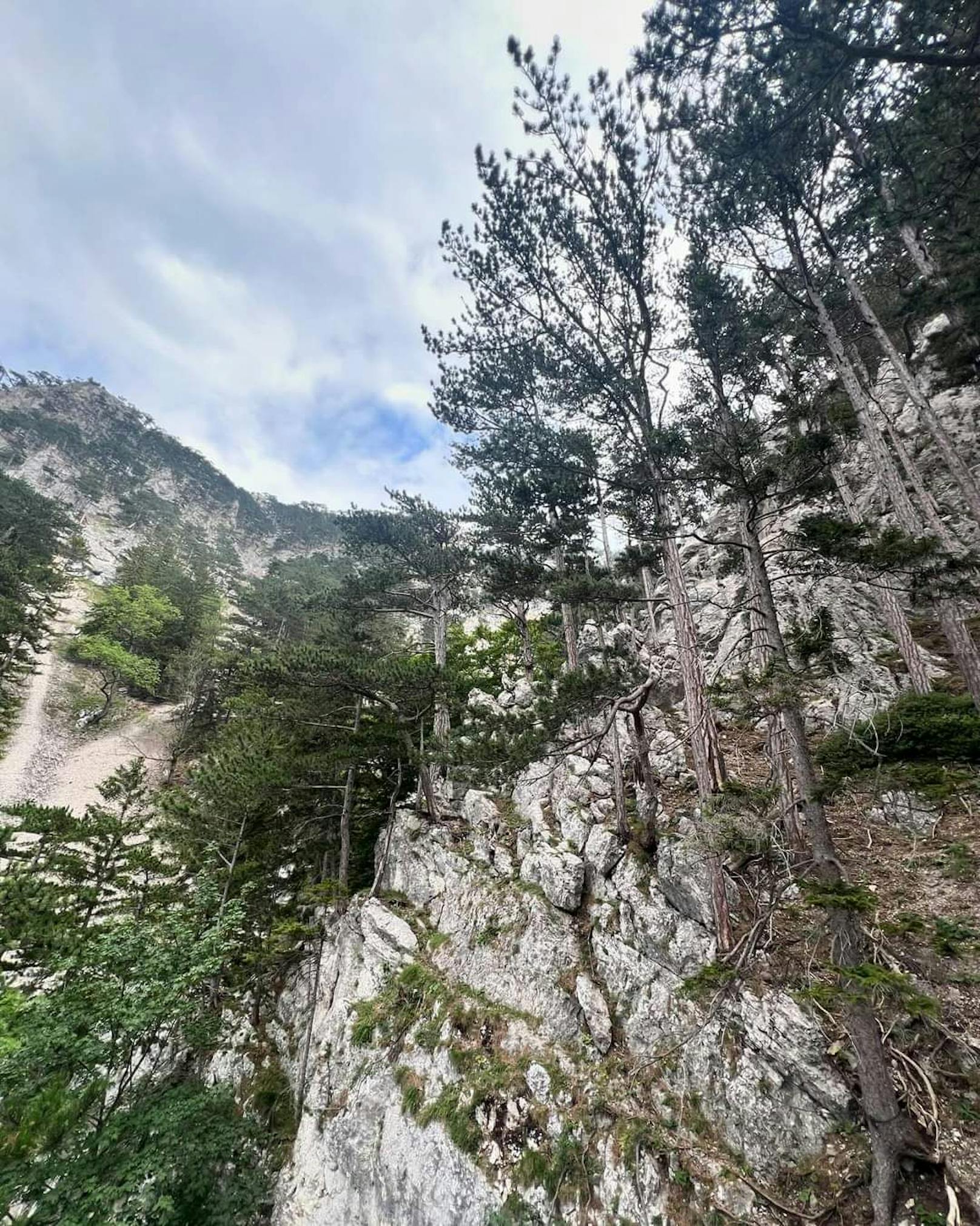 Vater und Sohn in Bergnot: Großer Einsatz mit Bergrettern und Hubschrauber