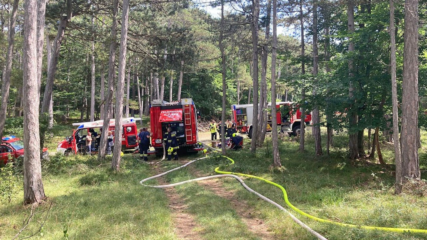 Feuerwehren bekämpften Waldbrand im Bezirk Baden