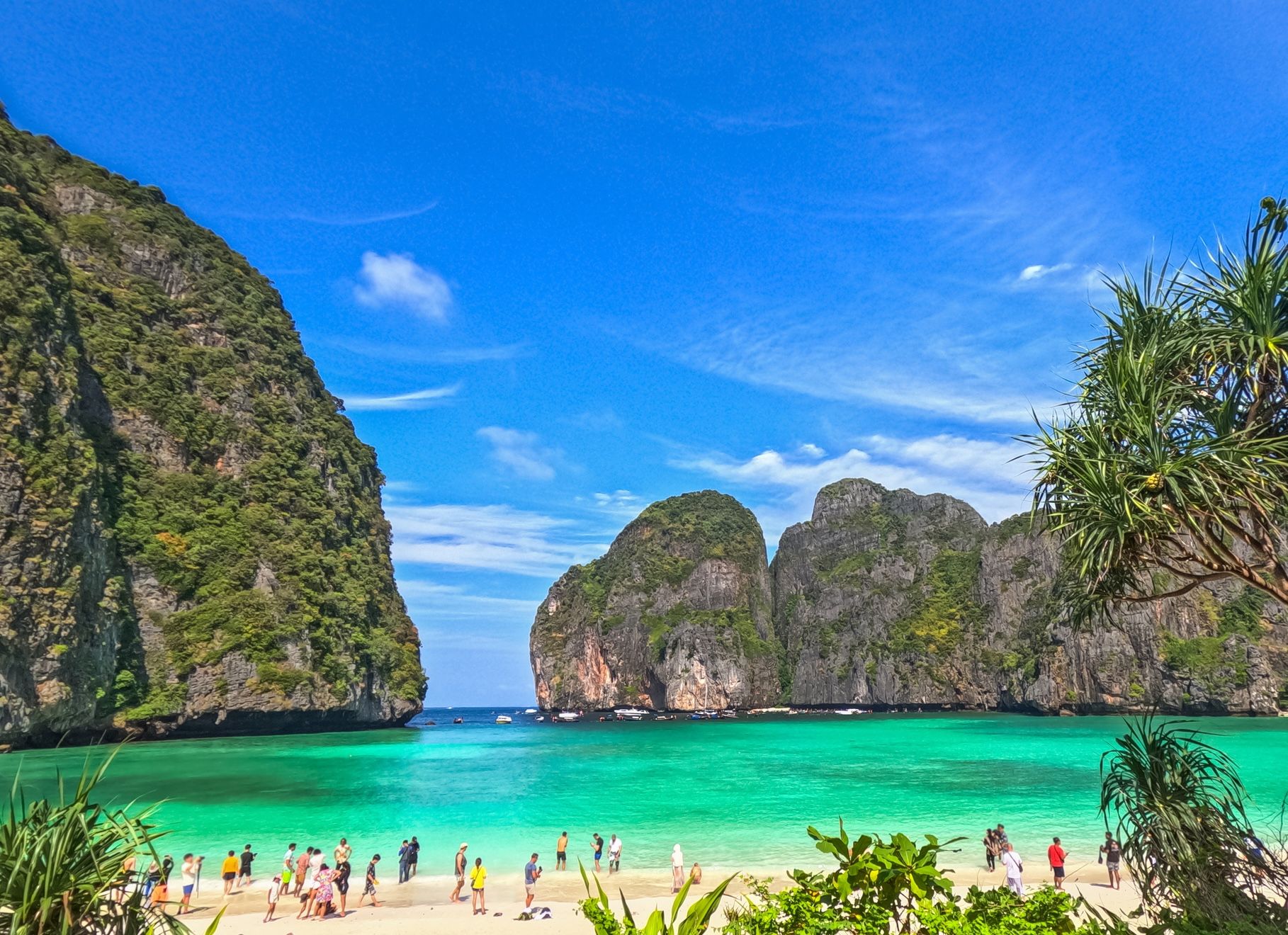 Wer die Maya Bay aus dem Leonardo DiCaprio Film 