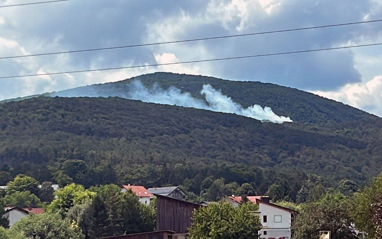 Feuerwehren bekämpften Waldbrand im Bezirk Baden.