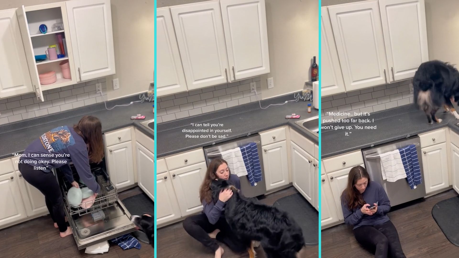 Der Australian Shepherd 