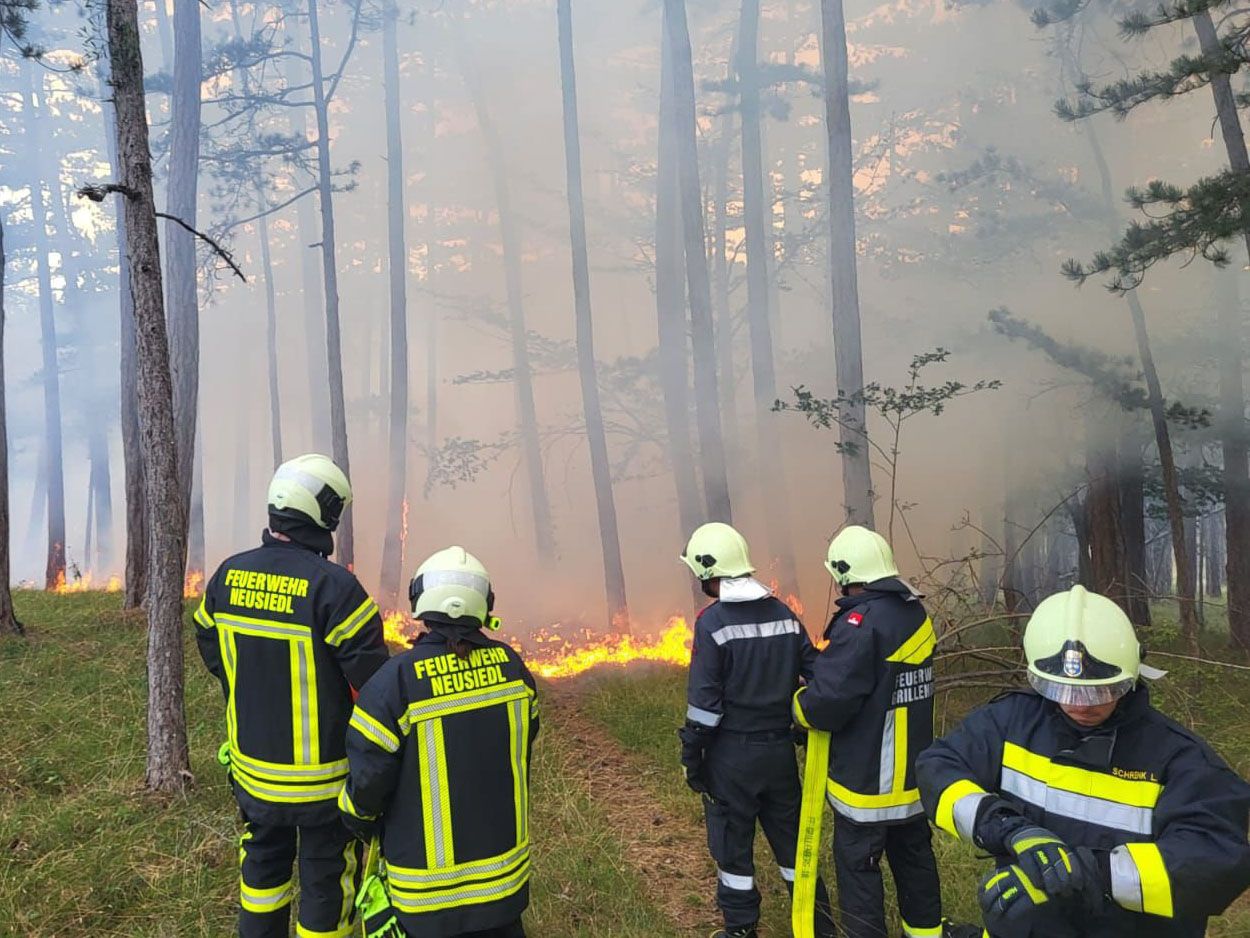 Feuerwehren bekämpften kürzlich einen Waldbrand im Bezirk Baden.