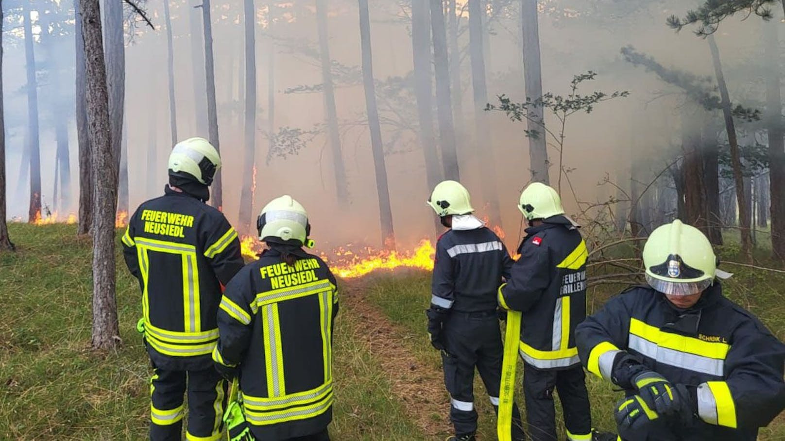 Feuerwehren bekämpften Waldbrand im Bezirk Baden