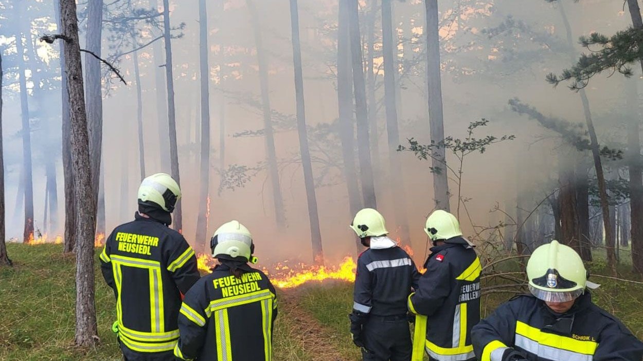 Feuerwehren bekämpften Waldbrand im Bezirk Baden