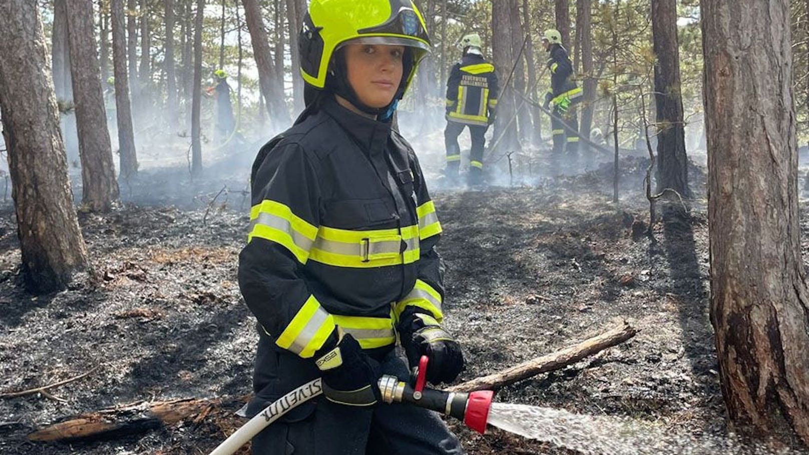 Feuerwehren bekämpften Waldbrand im Bezirk Baden