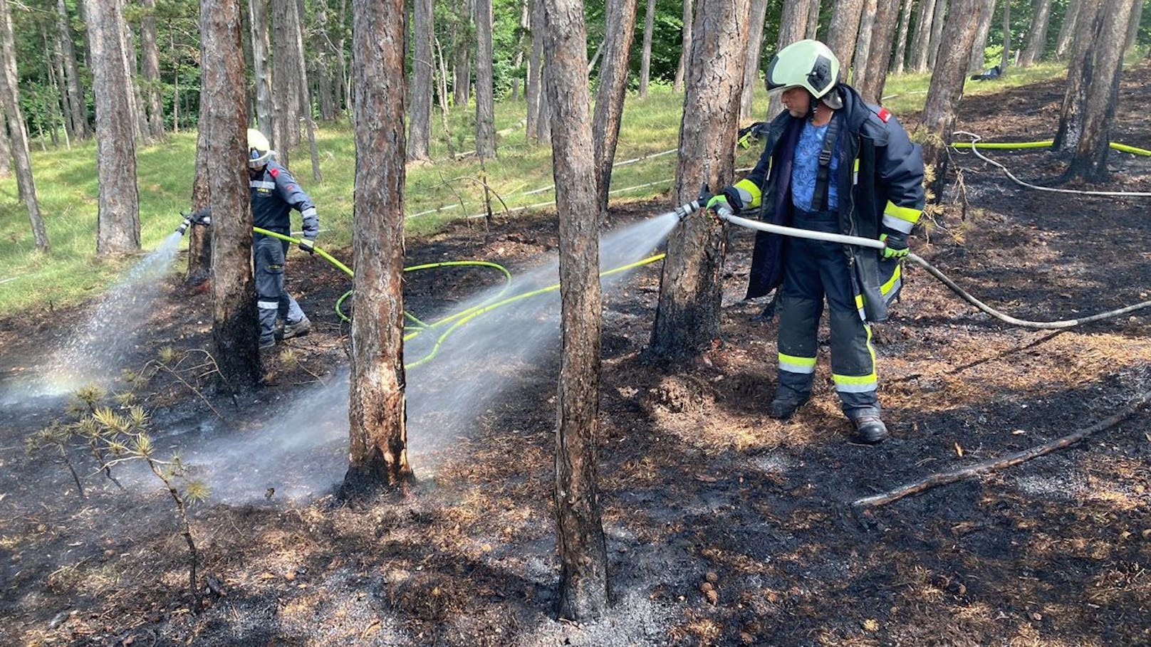 Feuerwehren bekämpften Waldbrand im Bezirk Baden