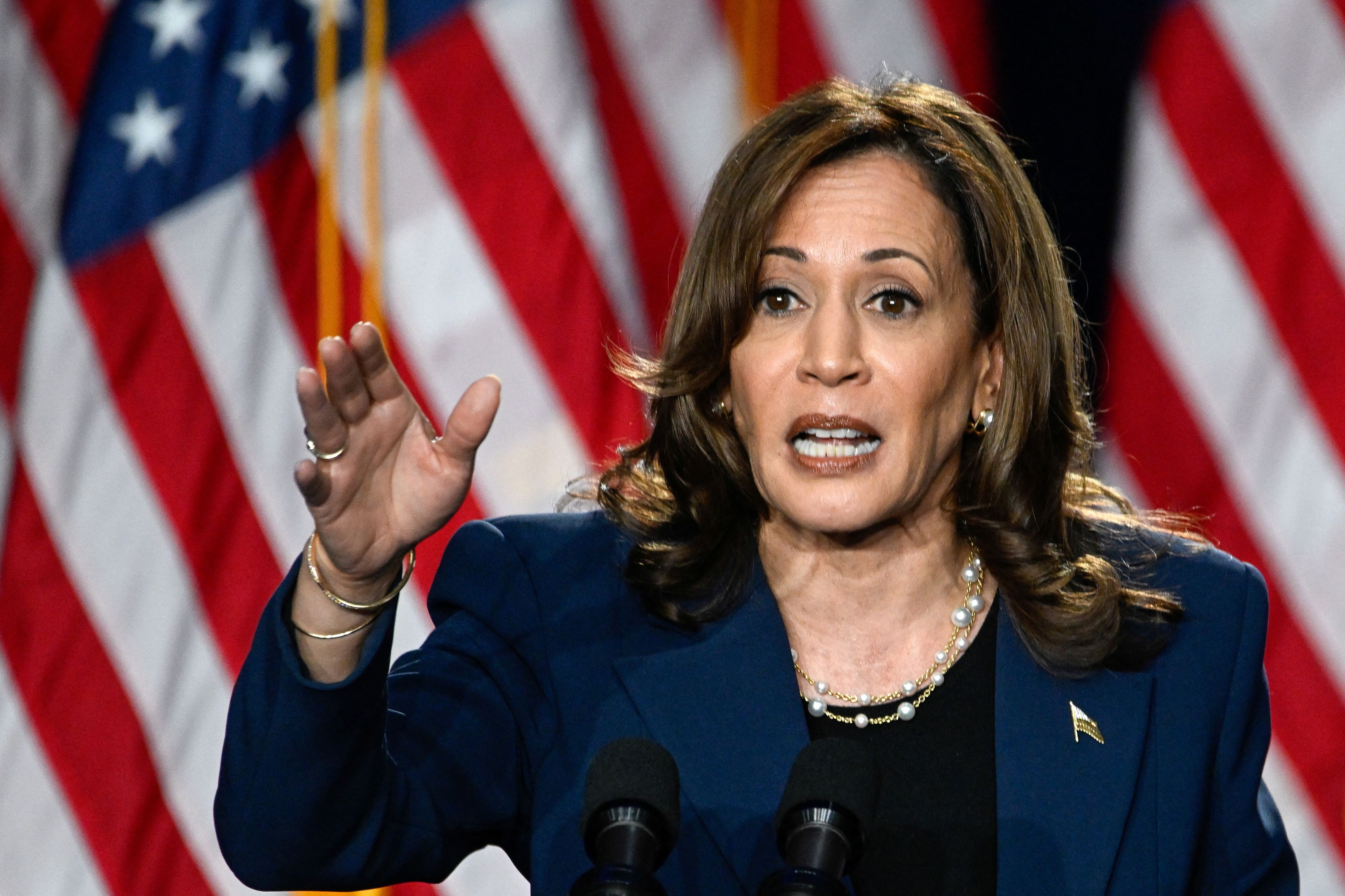 Kamala Harris eröffnete ihren Wahlkampf in West Allis bei Milwaukee in Wisconsin.