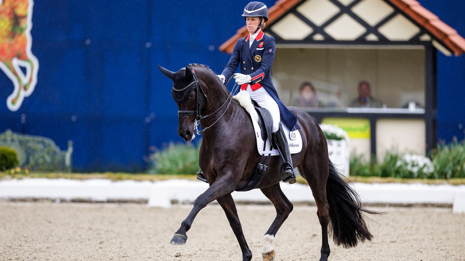 Dreifache Olympiasiegerin quält Pferd mit 24 Schlägen