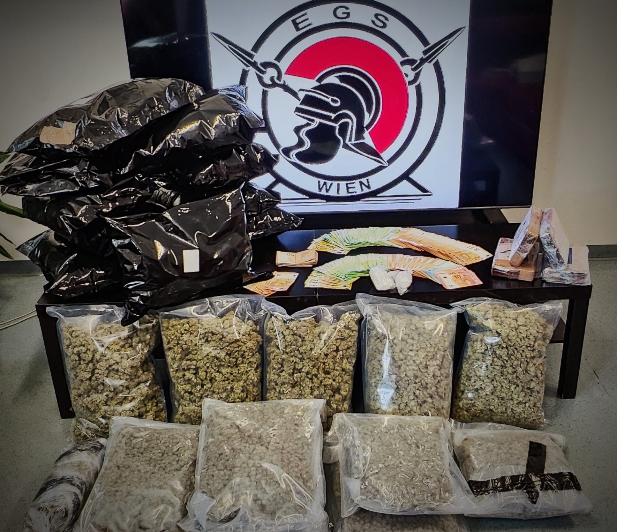 Die beiden mutmaßlichen Dealer wurden in eine Justizanstalt eingeliefert. 