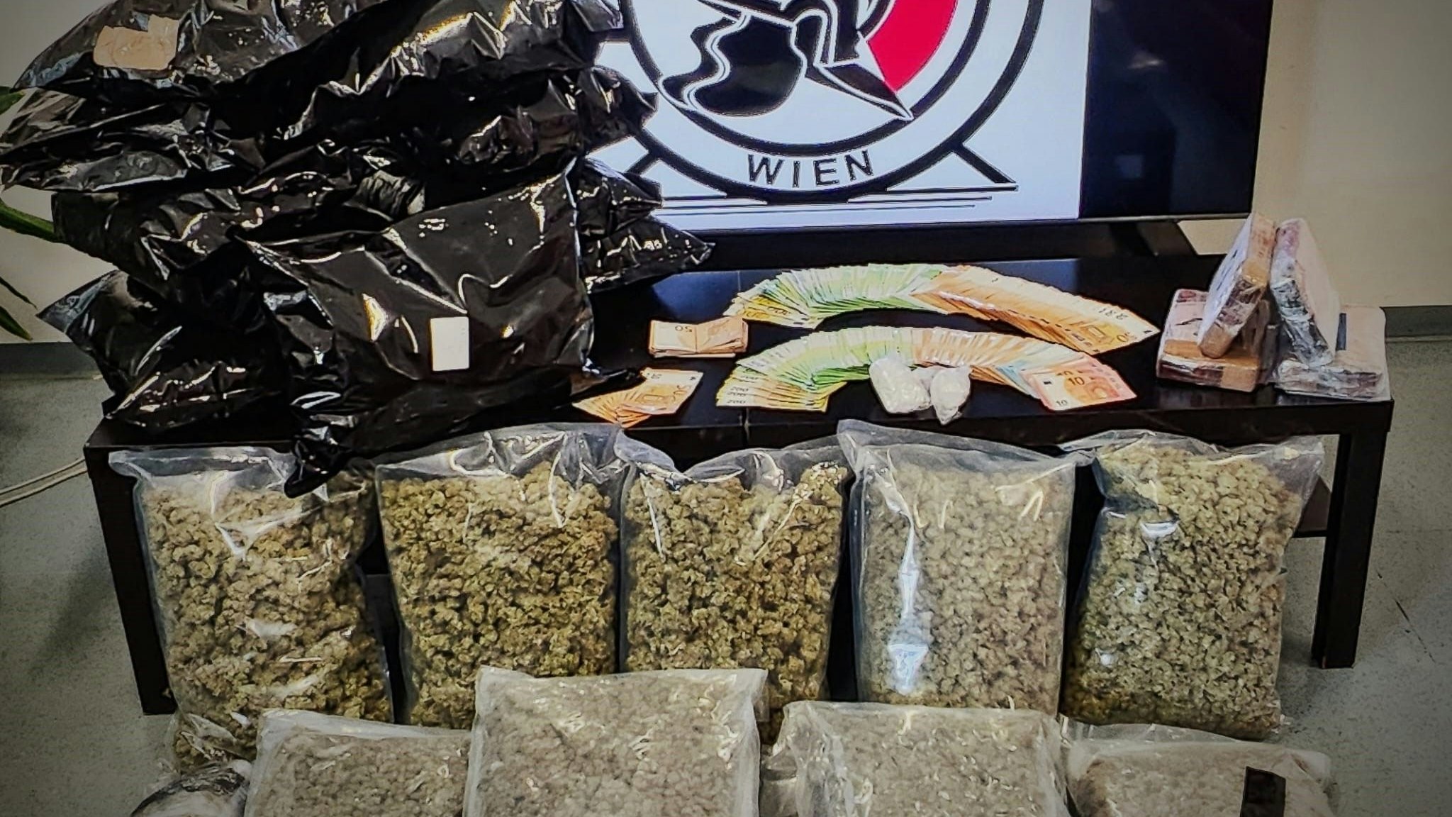 Die beiden mutmaßlichen Dealer wurden in eine Justizanstalt eingeliefert. 