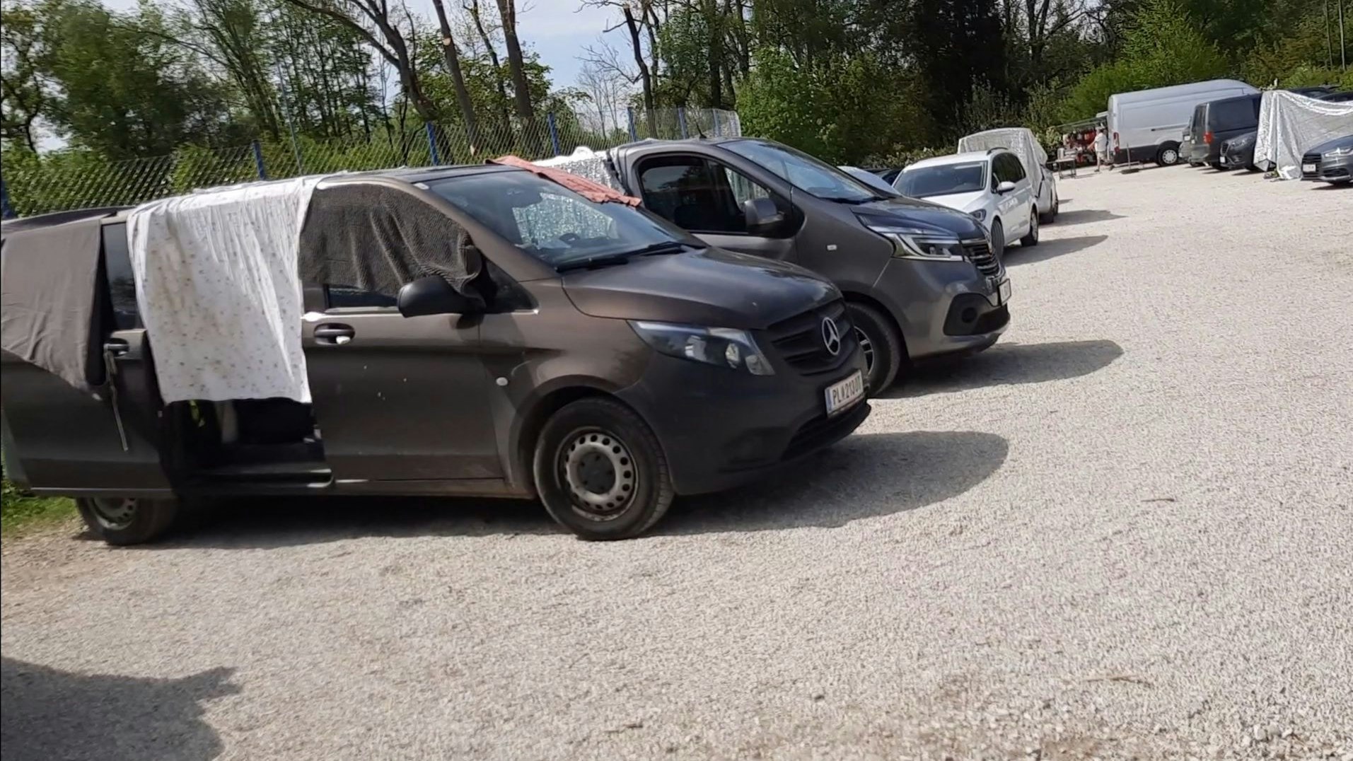 Ein weiteres Foto der Pfotenhilfe