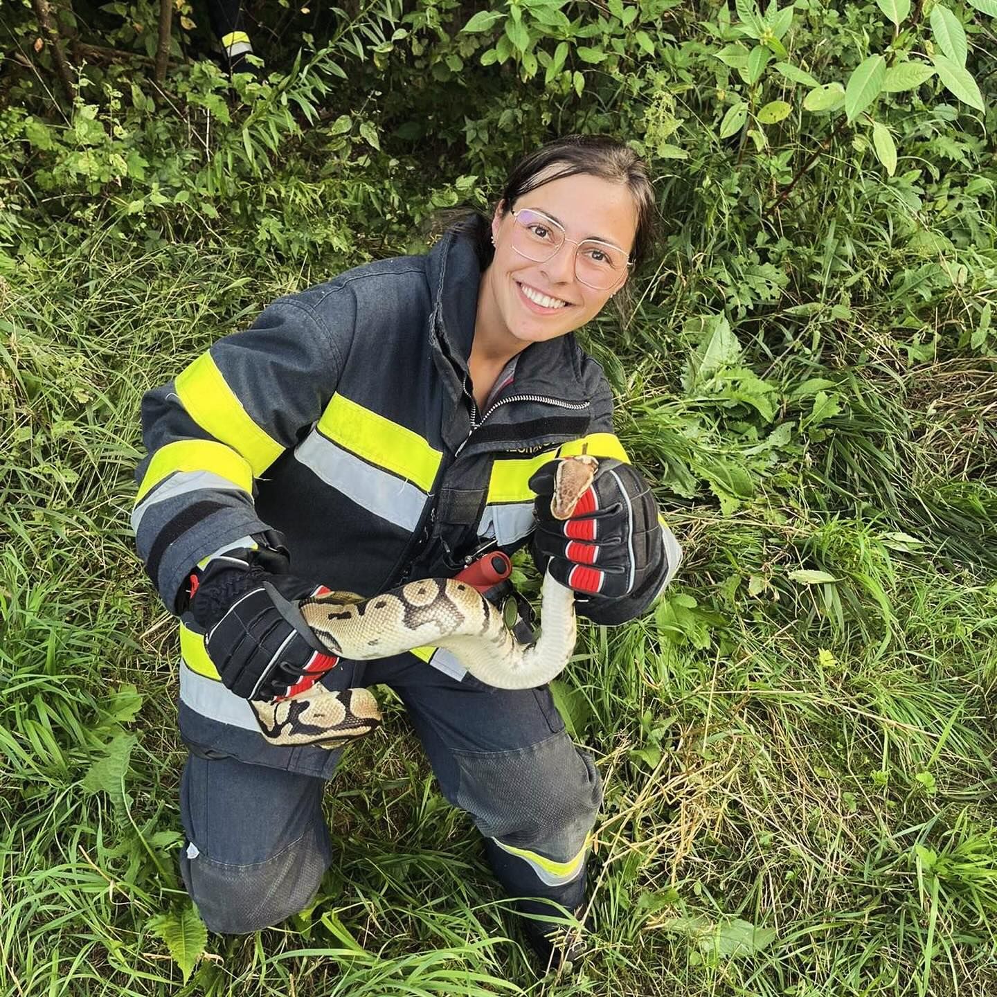 Tierischer Einsatz für die Feuerwehr Ebenthal. Die Königspython wurde dem Reptilienzoo übergeben.