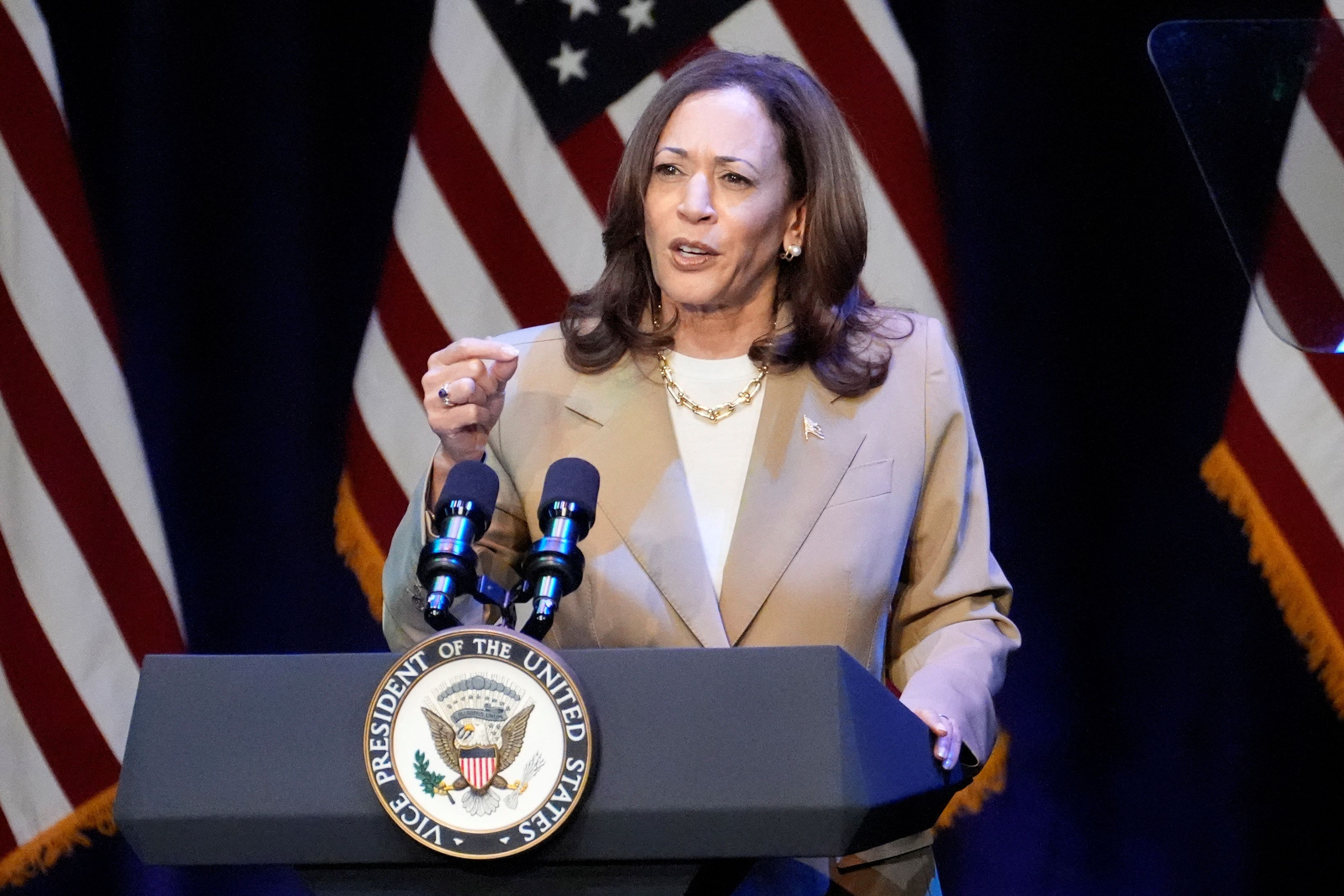 Kamala Harris hat sich ihre Präsidentschaftskandidatur gesichert, am 6. August tritt sie mit ihrem Vizekandidaten in Philadelphia auf.