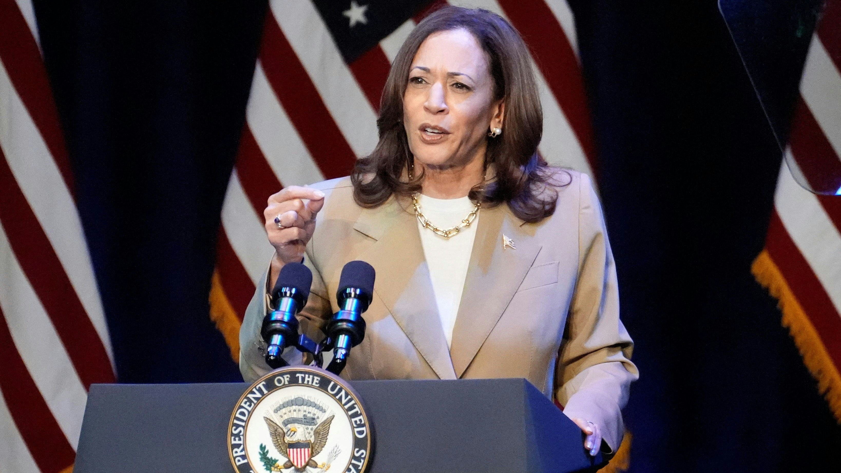 Kamala Harris ist die Kandidatur kaum noch zu nehmen – doch wer wird ihr Vizekandidat?