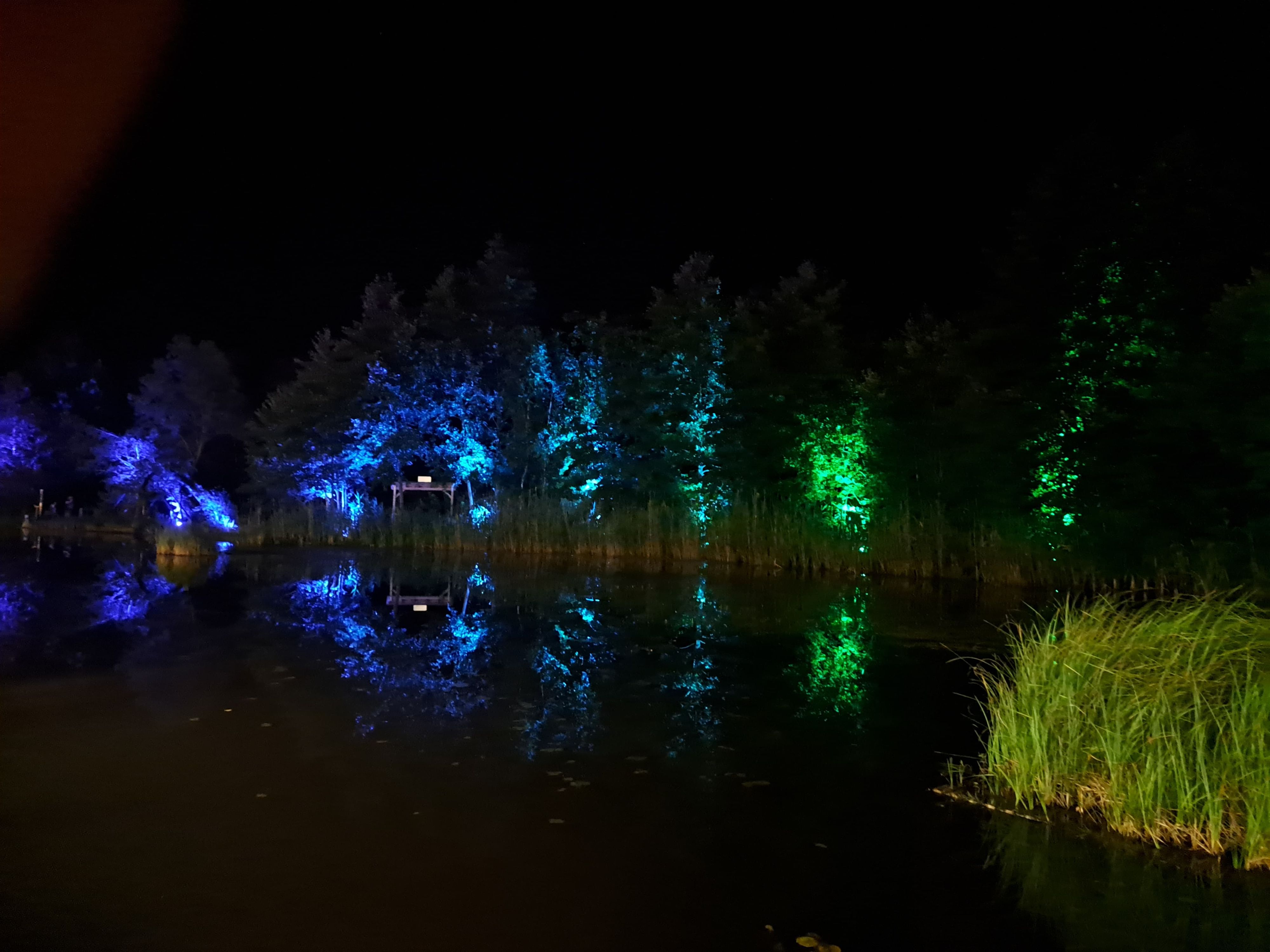 Die Wassergarten-Illumination stammte vom argentinischen Lichtkünstler Leo Bettinelli