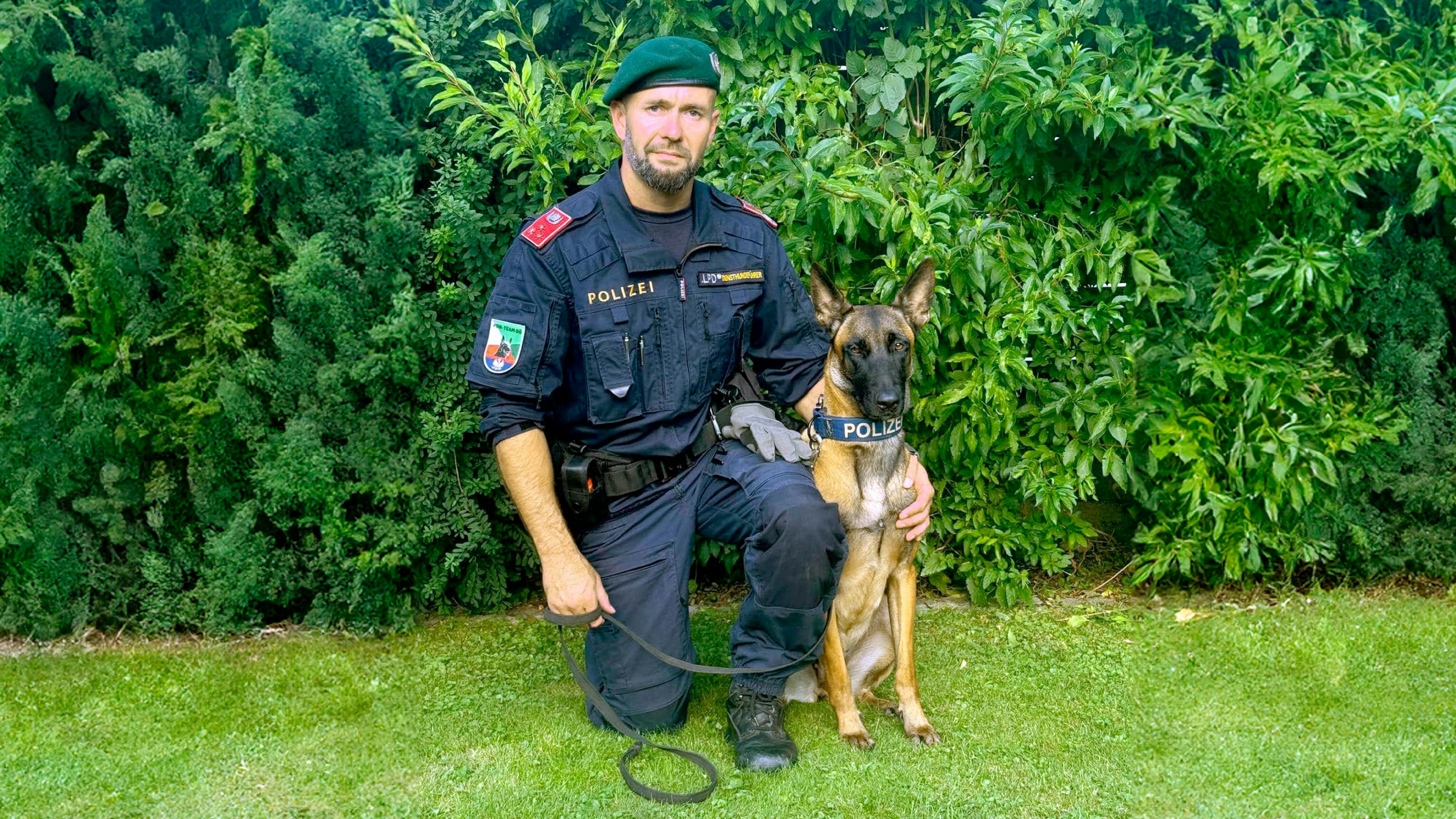 Heute.at - Brutaler Räuber konnte erst von Biss gestoppt werden