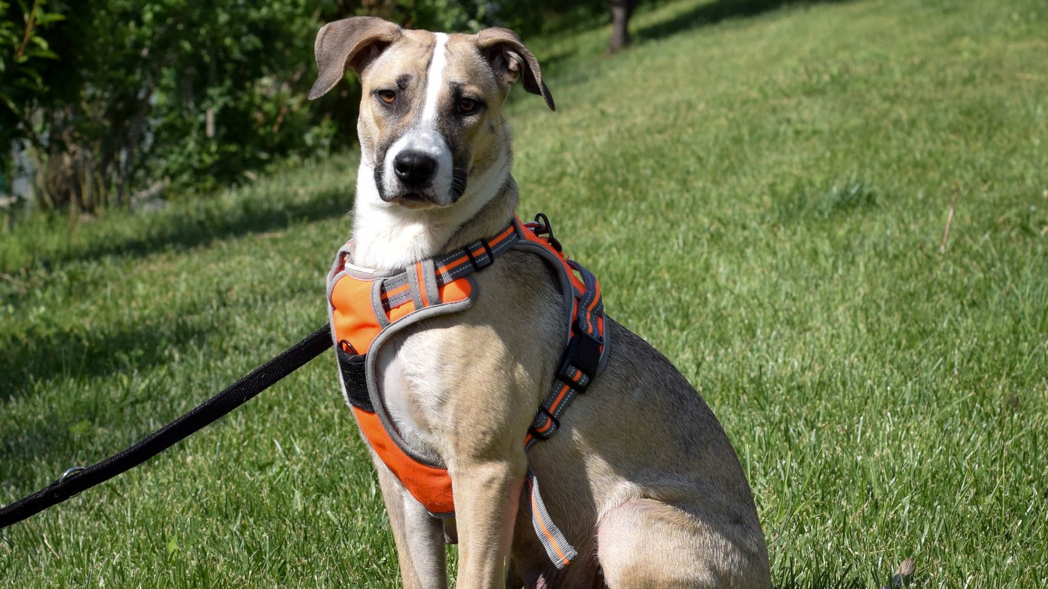 Labella sucht nach ihrem Traumplatz.