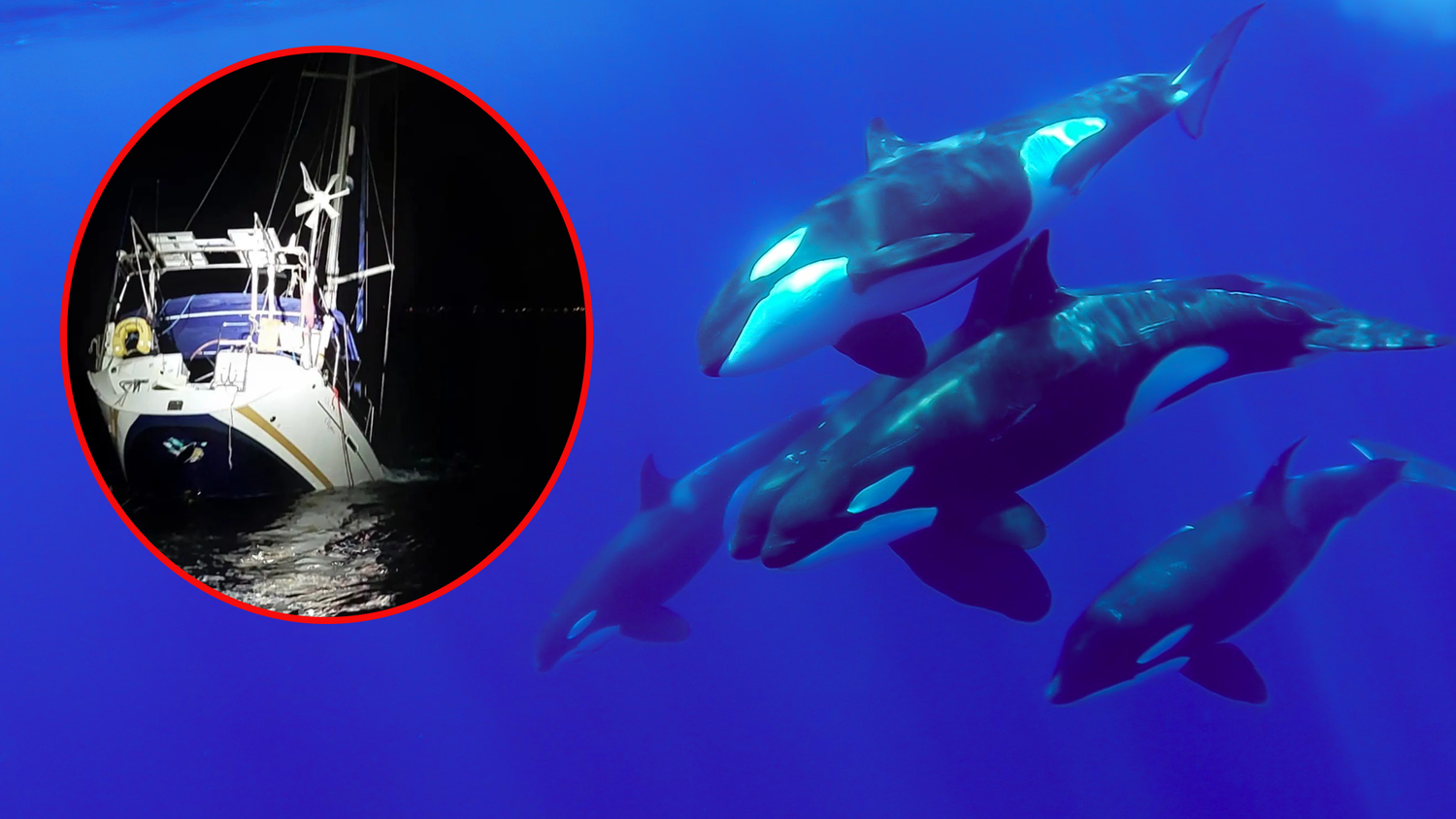 Die Gruppe attackiere die Segelyacht über rund 90 Minuten immer wieder.