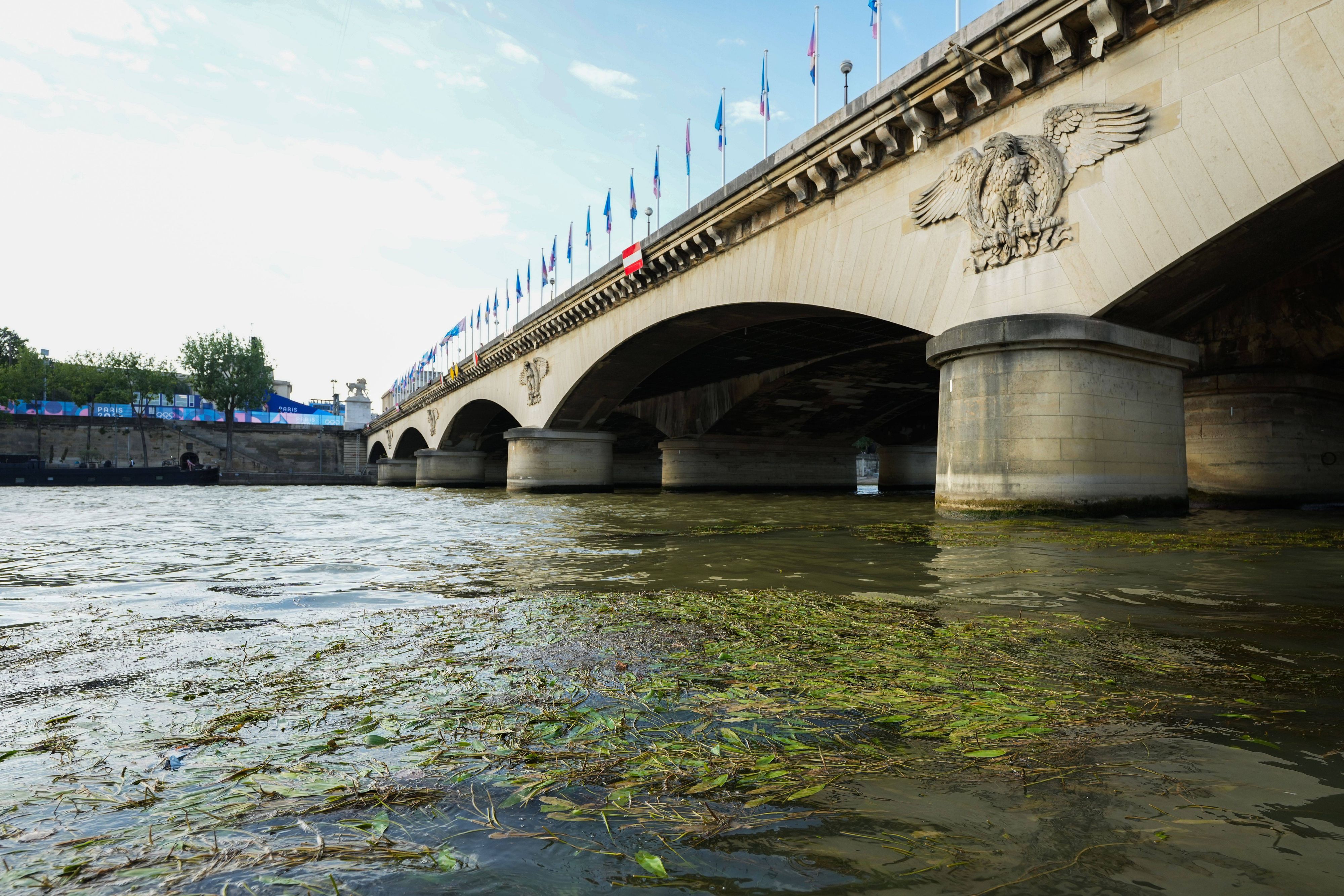 Die Seine ist zu schmutzig