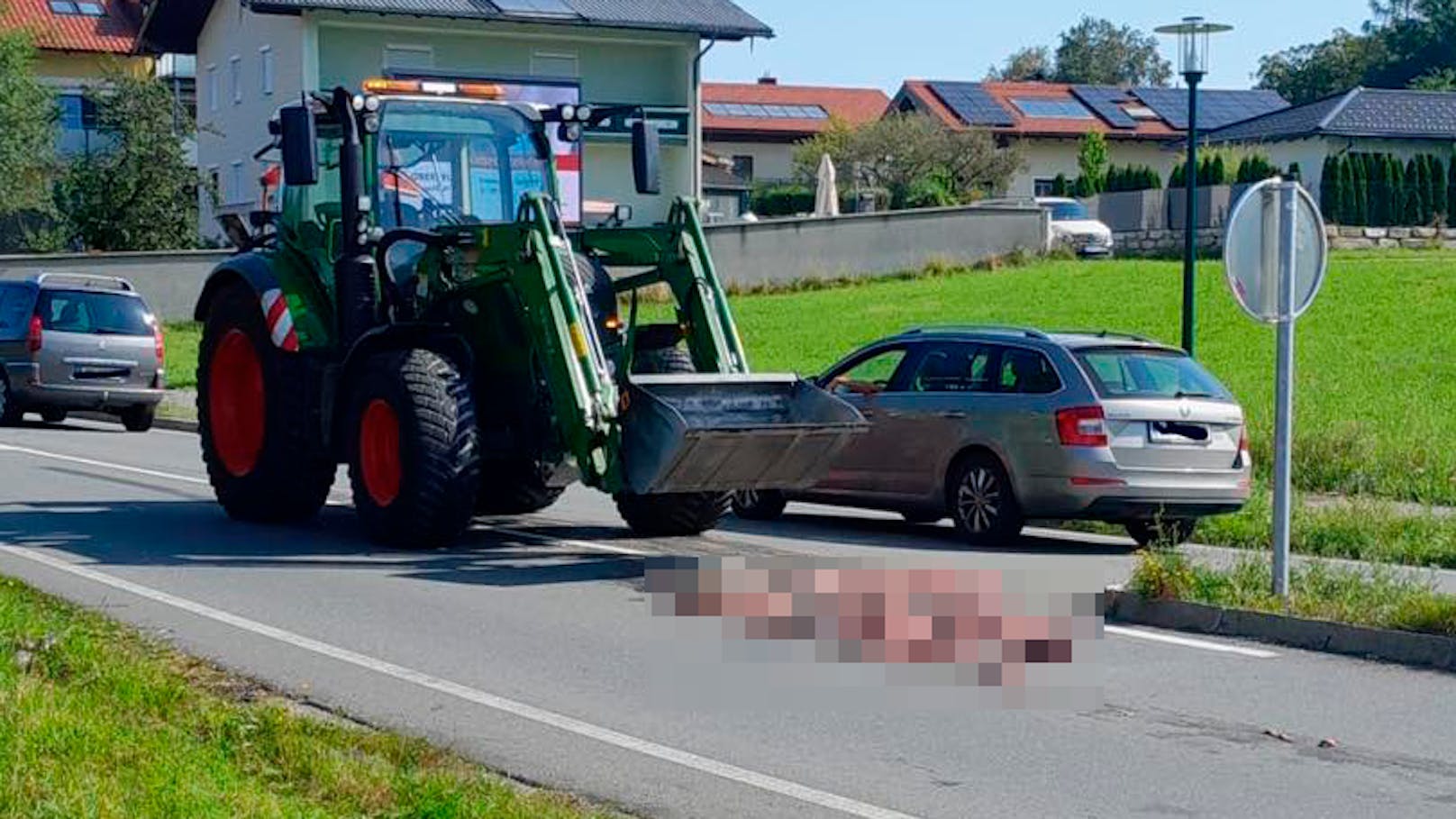 Salzburger rätseln über Eingeweide auf der Straße