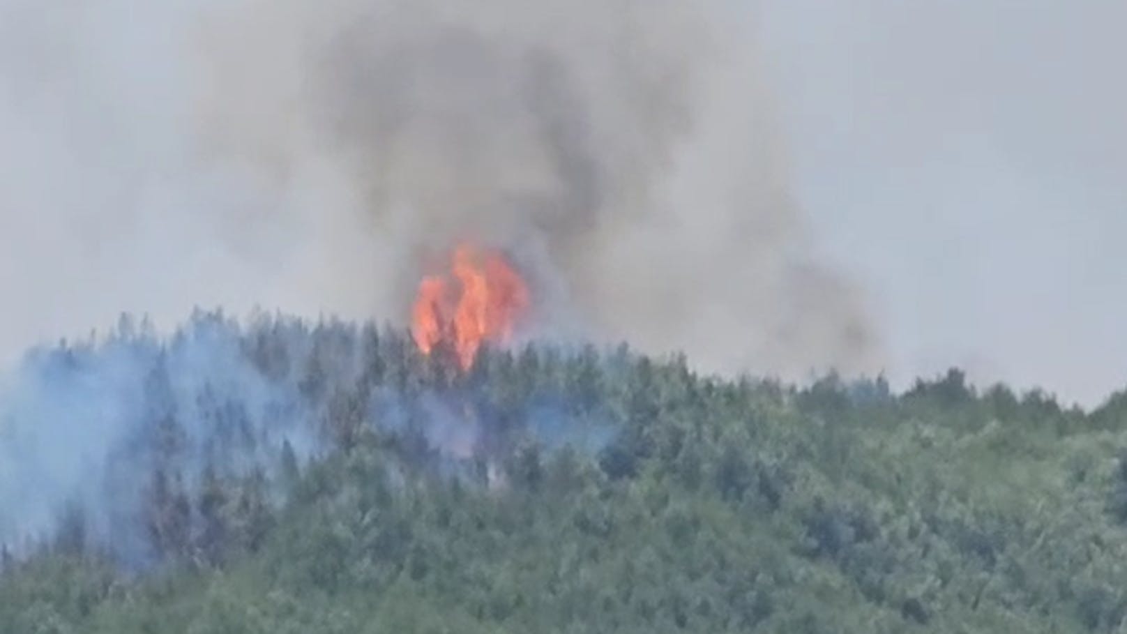 Nach einer lauten Explosion ging ein Waldstück innerhalb von Sekunden komplett in Flammen auf.