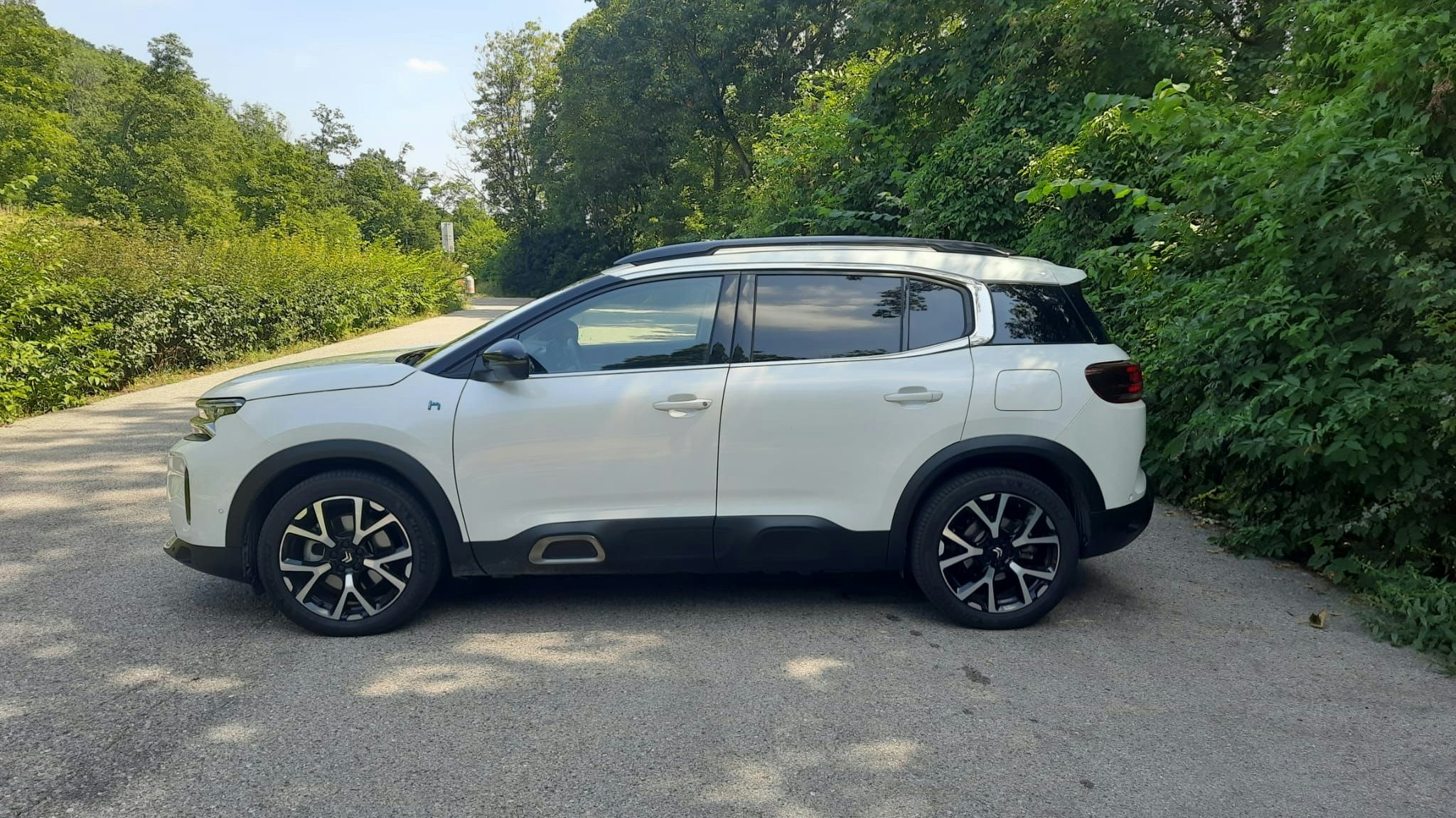 Seitlich ein stattliches SUV für die Familie.