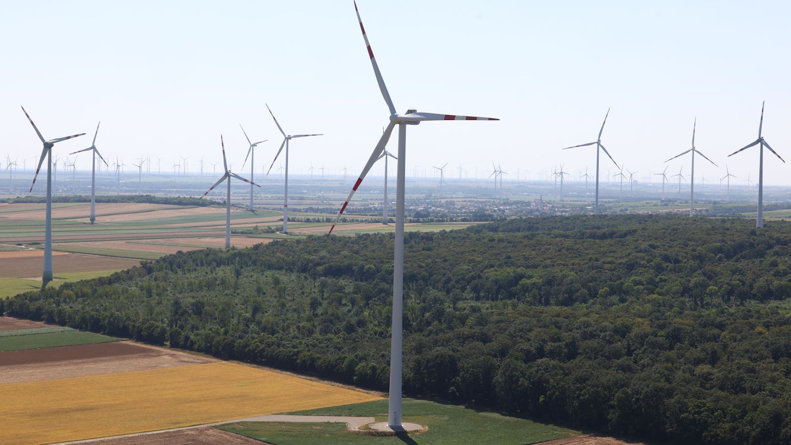 Im Industrieviertel stehen hunderte Windkraftwerke und prägen das Landschaftsbild