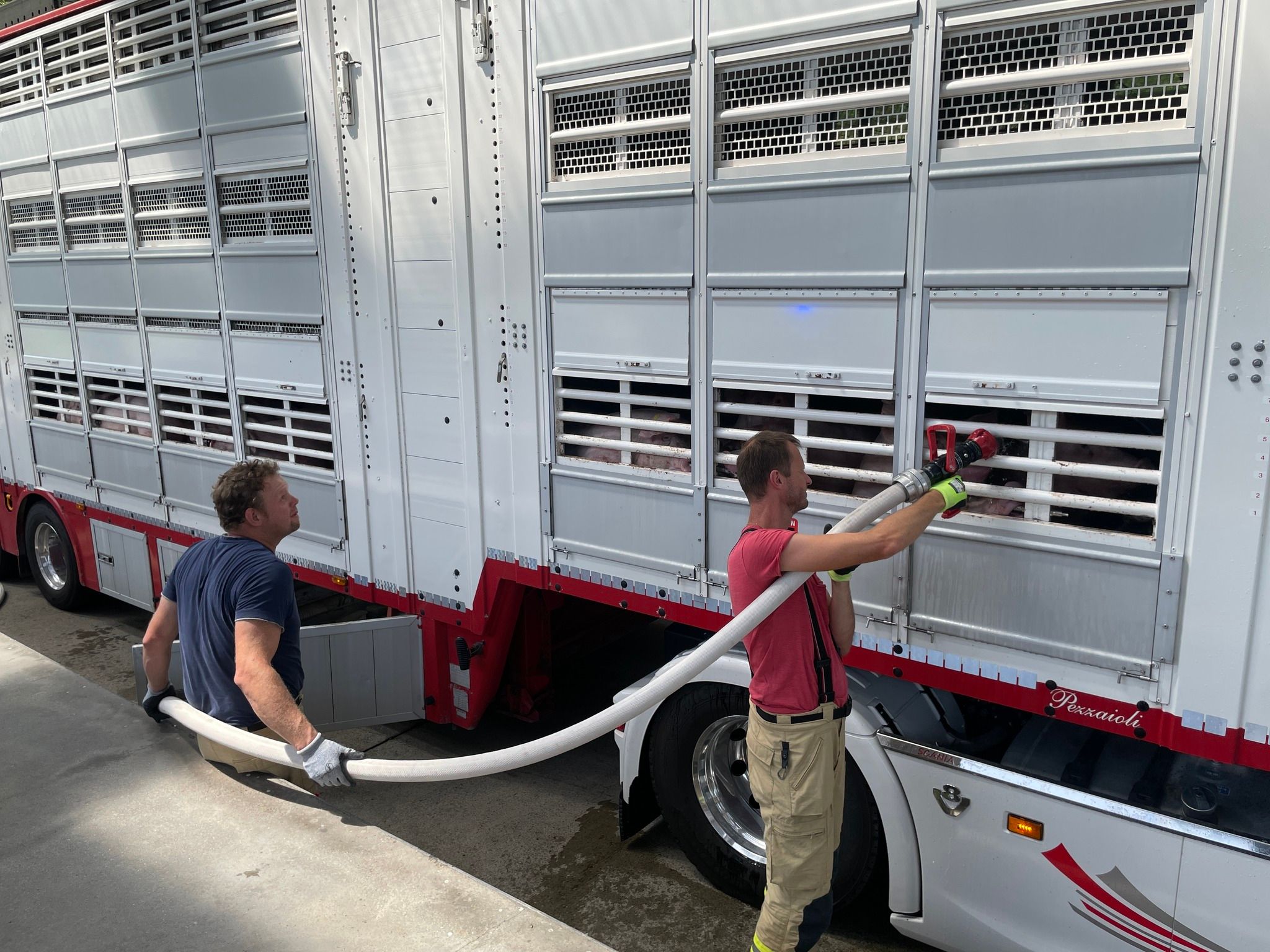 Zur Sicherstellung der Wasserversorgung der Schweine wurde die Feuerwehr Kramsach alarmiert, welche den Wassertank des Transporters auffüllte.