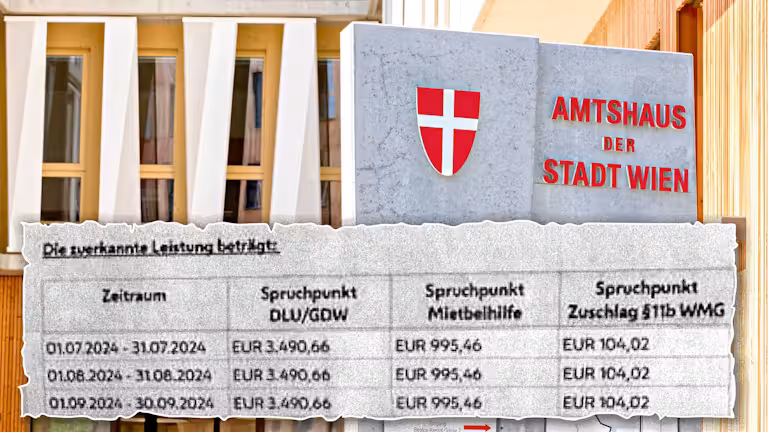 Immer wieder sorgen Fälle von hoher Mindestsicherung in Wien für Aufregung.