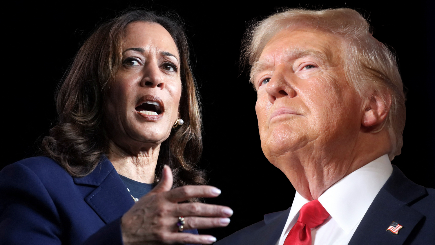 Im Kampf ums Weiße Haus zwischen Donald Trump und Kamala Harris hat Wahl-Orakel Lichtman einen klaren Favoriten.