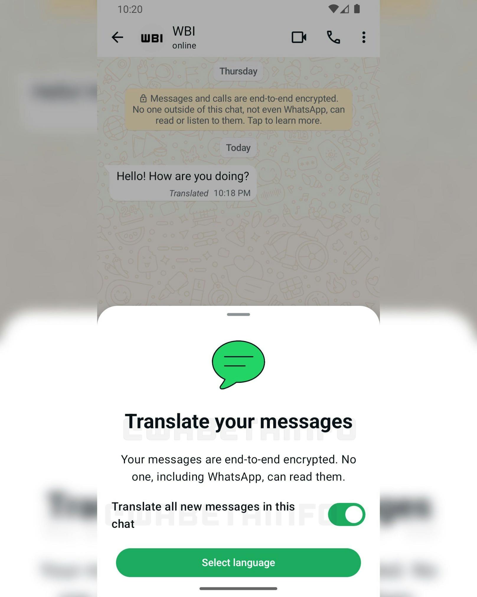 Wie der Name schon andeutet, soll "Translate Message" im Chat zukünftig Sprachbarrieren abbauen. User sollen damit sowohl einzelne Nachrichten als auch ganze Chats direkt übersetzen können.