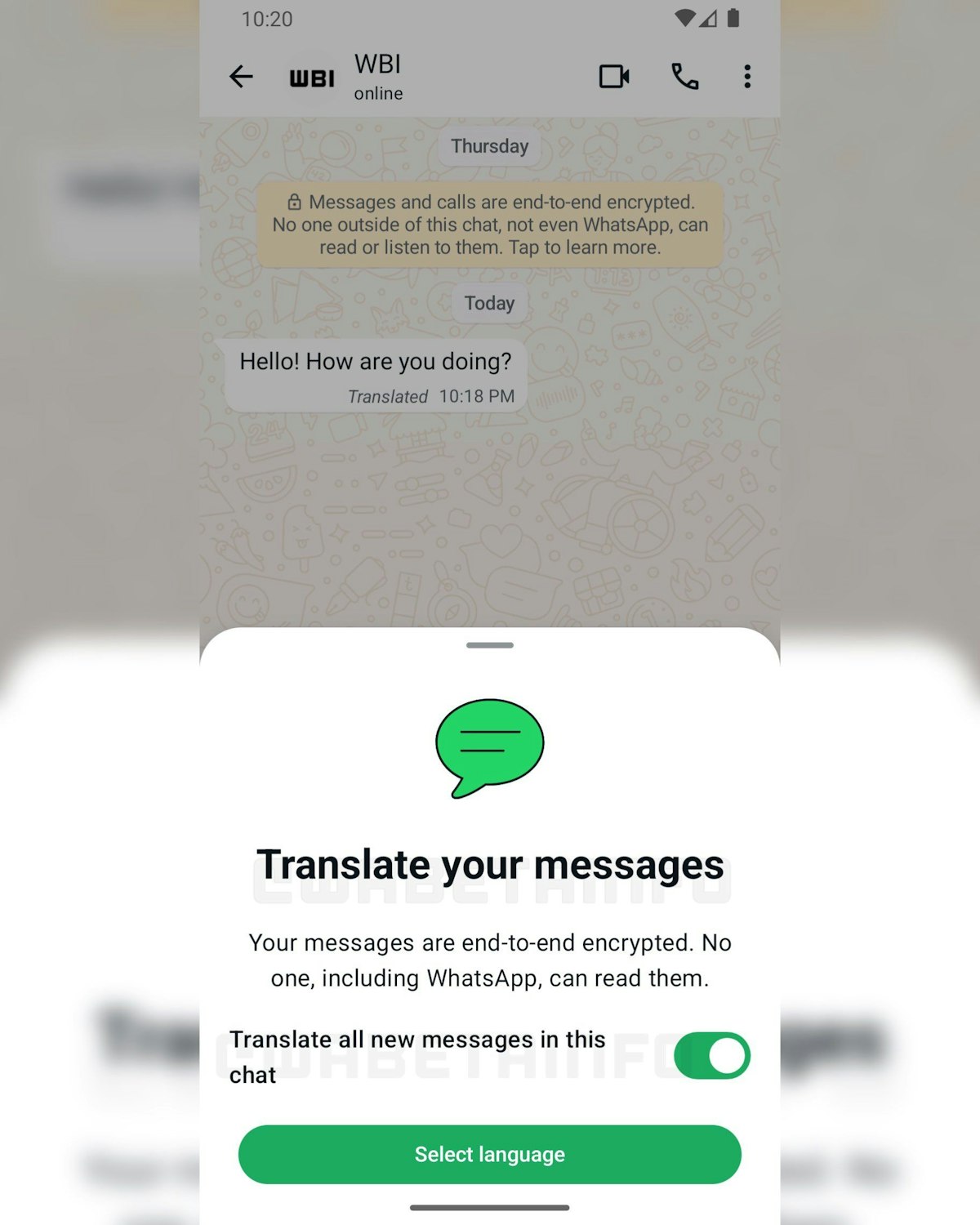 Whatsapp