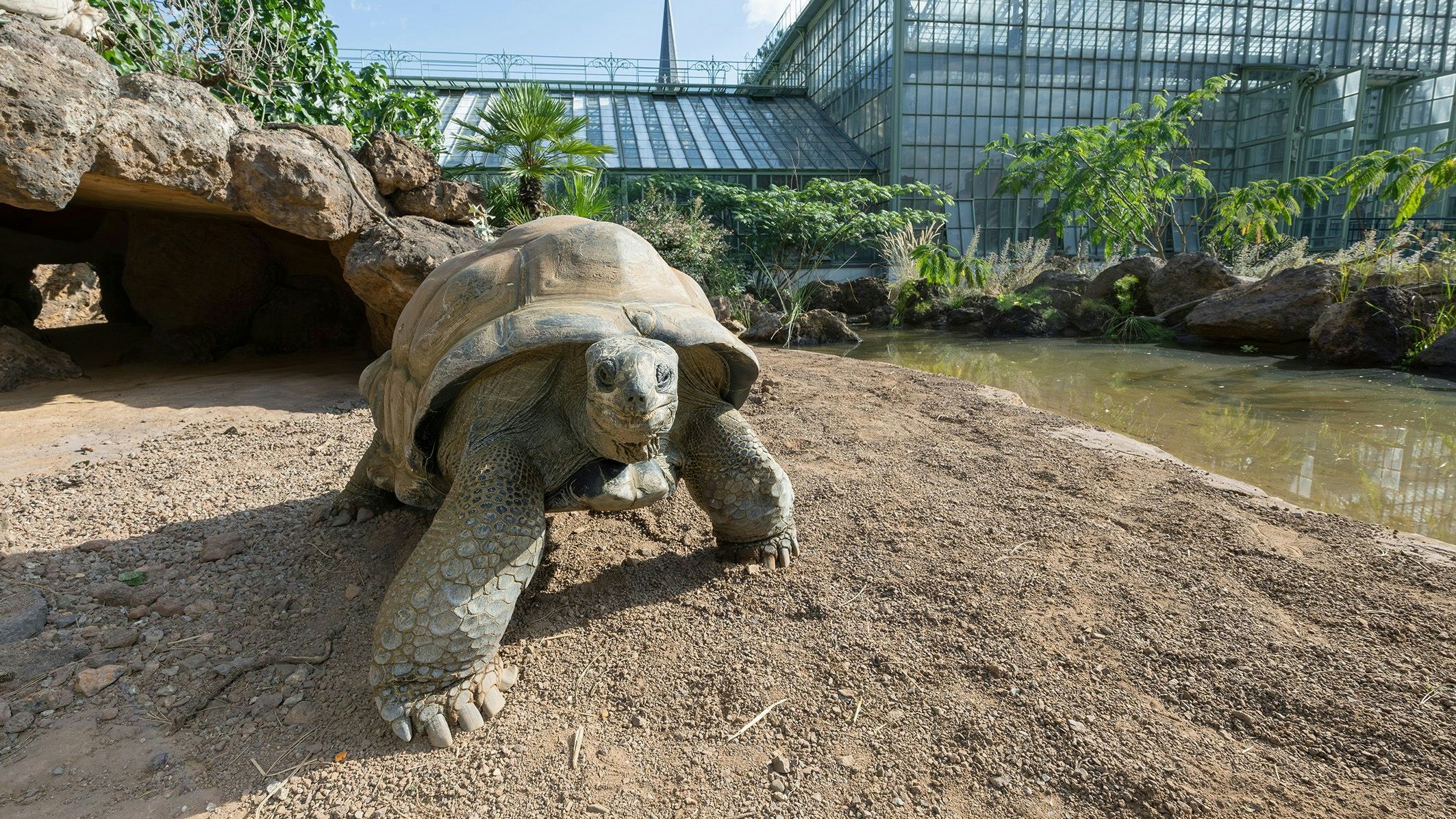 Hier dürfen sie alt, älter, am Ältesten werden. Schön. 