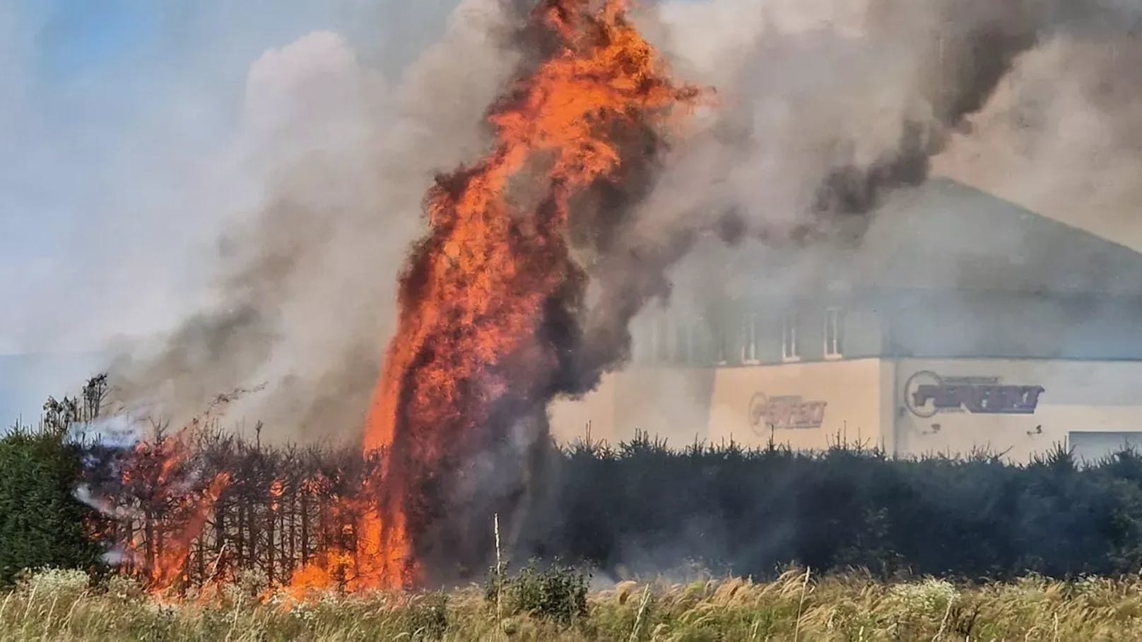 Bursch zündelt mit Freund – Hecke steht in Flammen