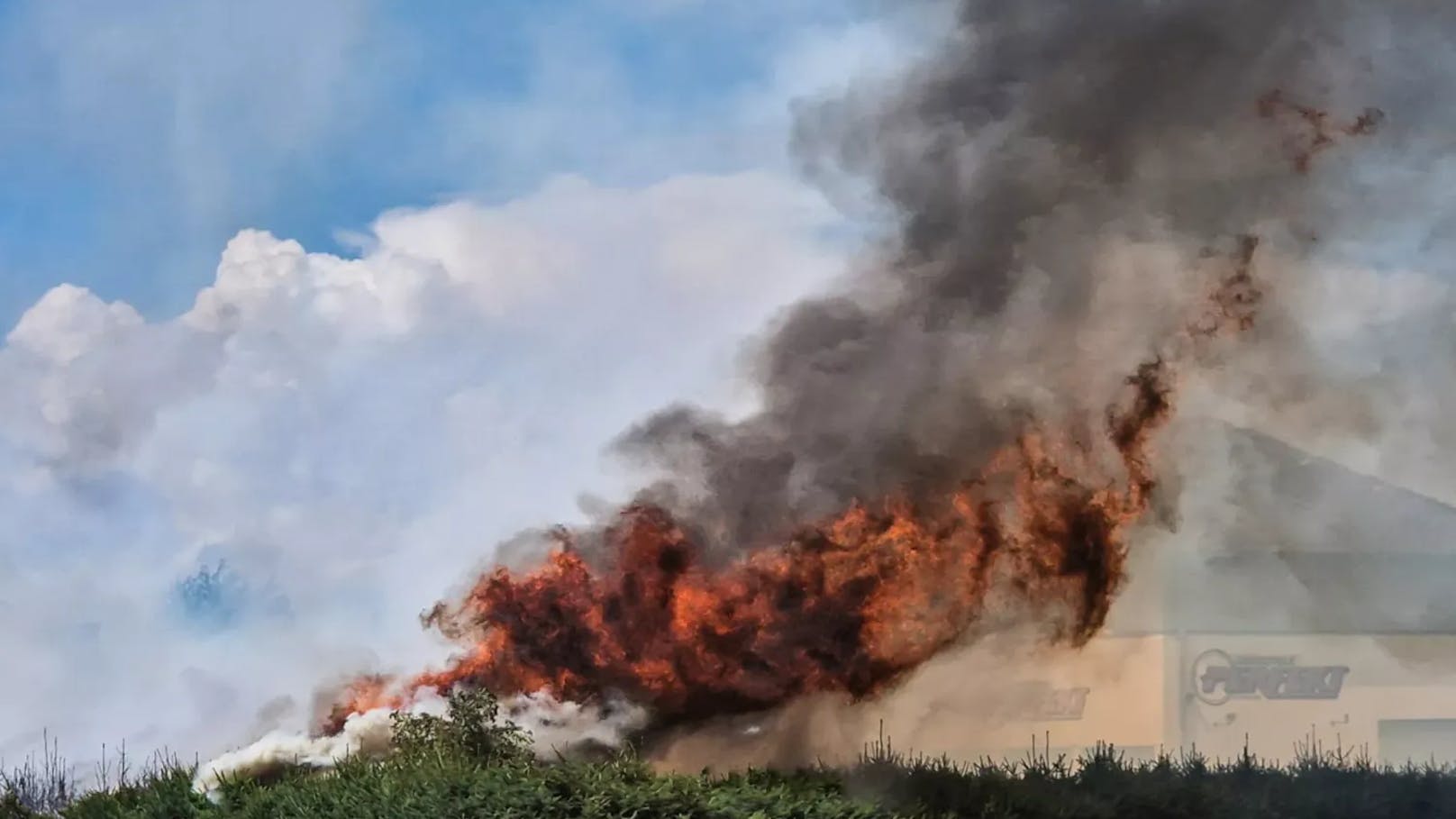 Die Burschen kehrten mit einem mitgebrachten Besen Unrat zusammen und zündeten am Asphalt ein Häufchen dürres Gras an. Später zündelte einer der beiden mit seinem Sturmfeuerzeug an der angrenzenden Hecke.