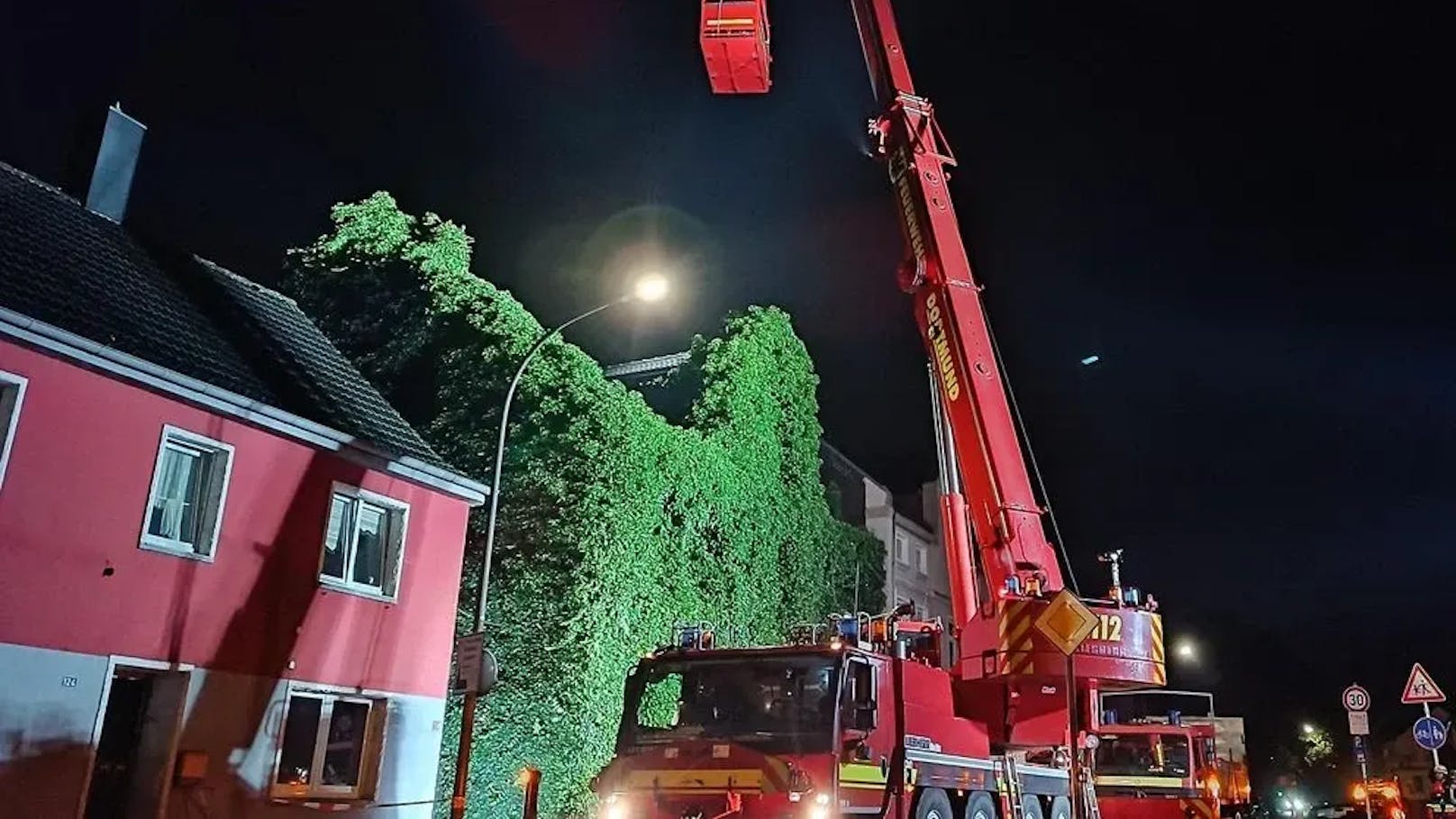 Feuerwehr rückt an – Haus komplett von Efeu überwuchert