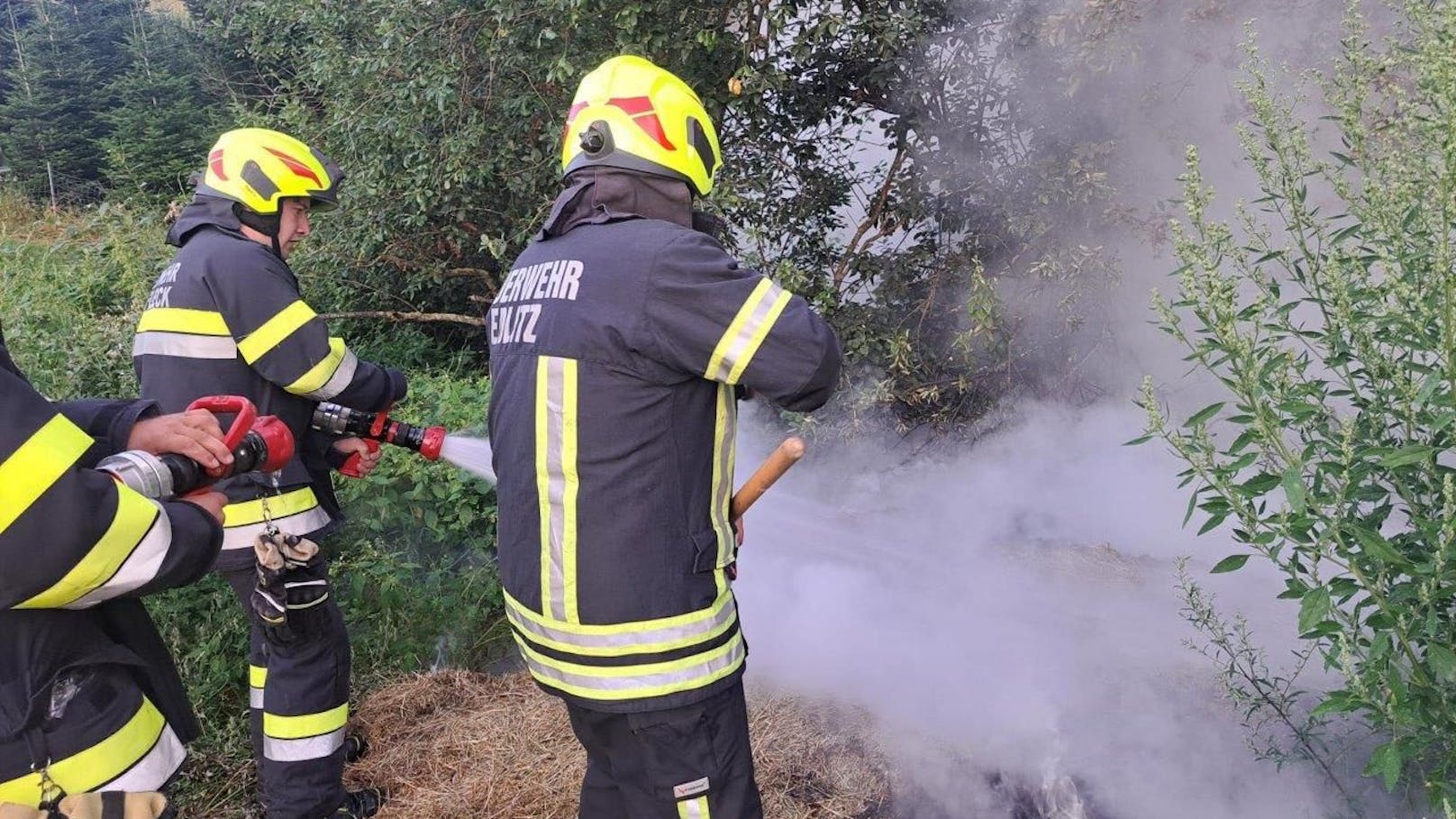 Die Feuerwehr konnte im Bezirk Neunkirchen einen großen Waldbrand verhindern