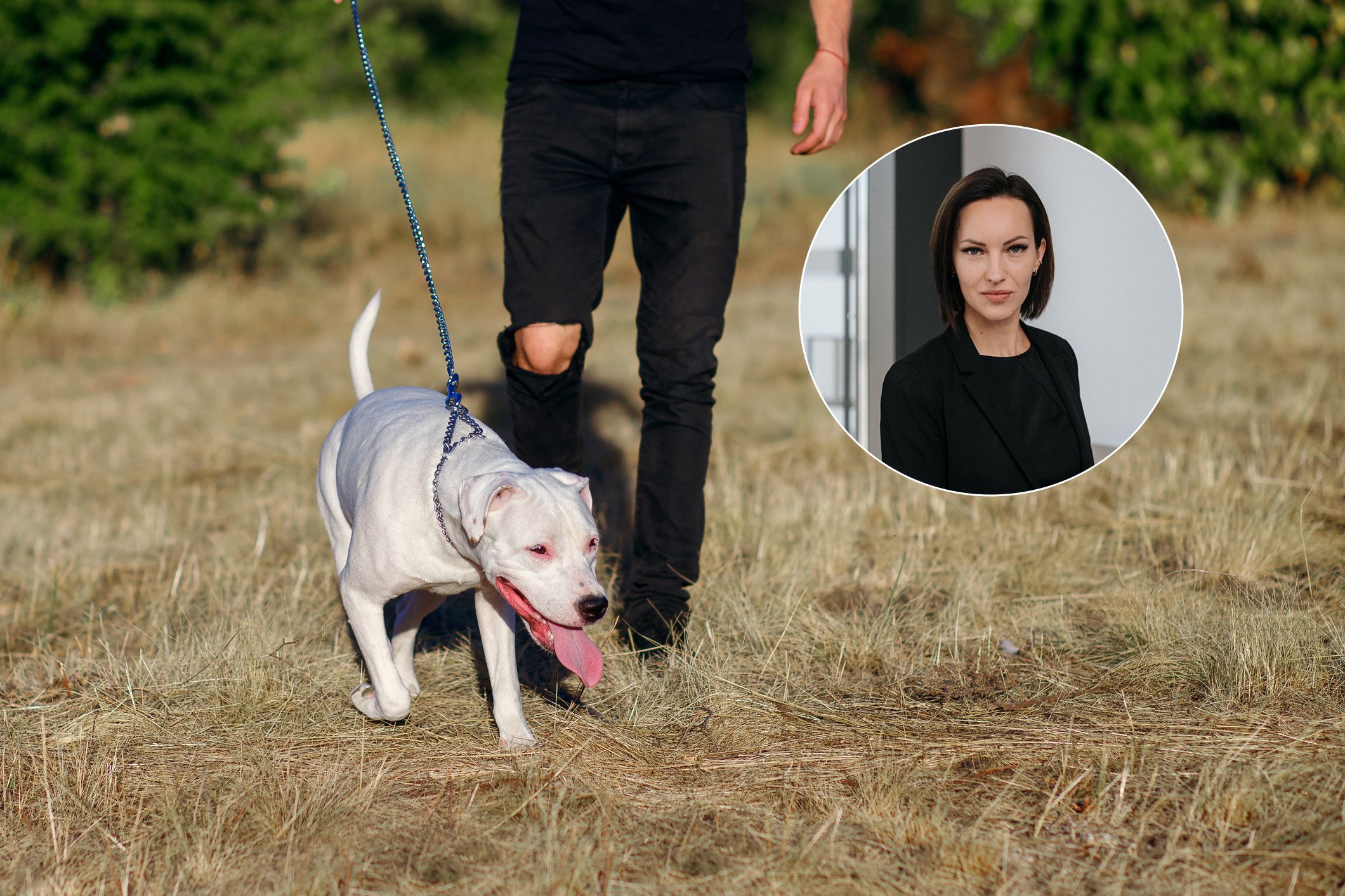Vor Gericht steht ein 20-jähriger Besitzer eines Kampfhundes (Symbolfoto), vertreten wird er von Anwältin Ina-Christin Stiglitz (Kreis).