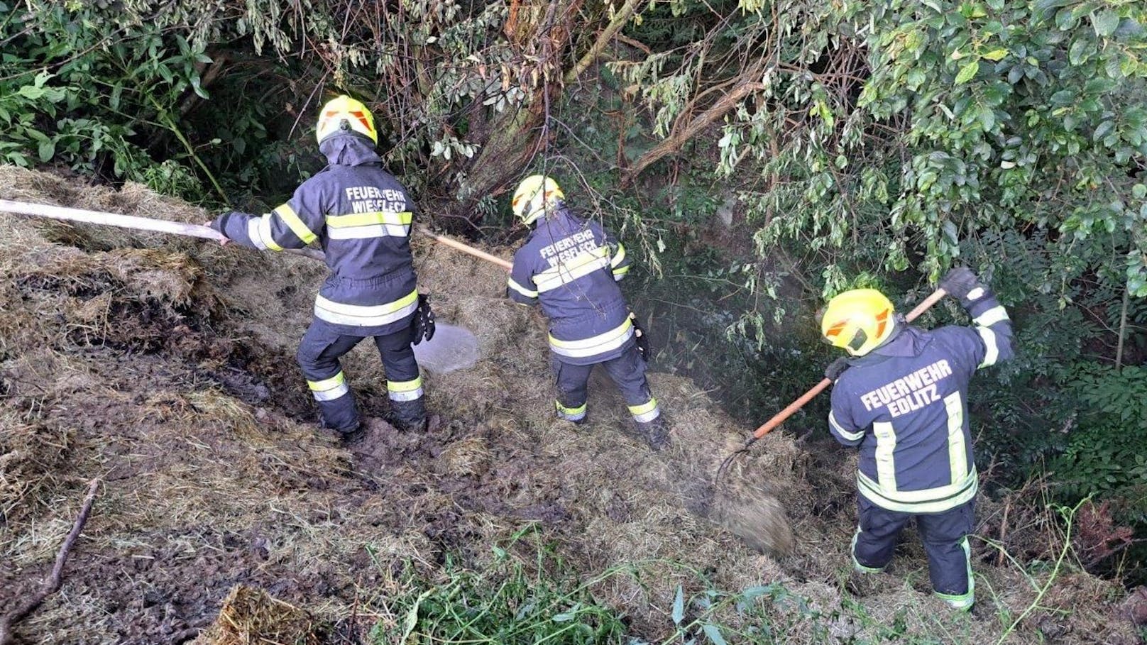 Die Feuerwehr konnte im Bezirk Neunkirchen einen großen Waldbrand verhindern