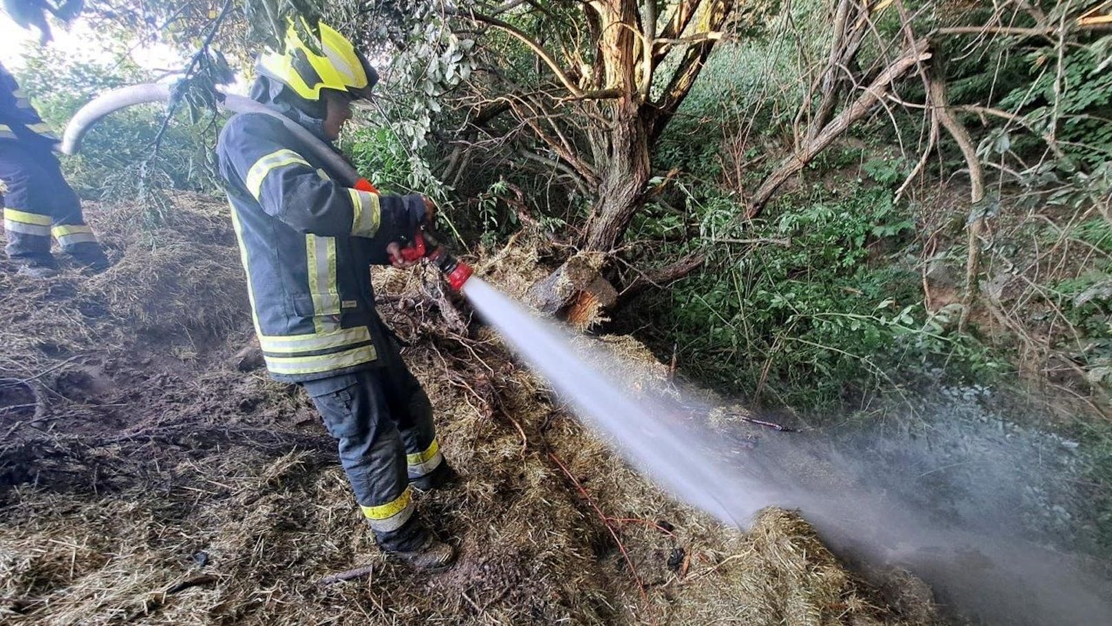 Die Feuerwehr konnte im Bezirk Neunkirchen einen großen Waldbrand verhindern