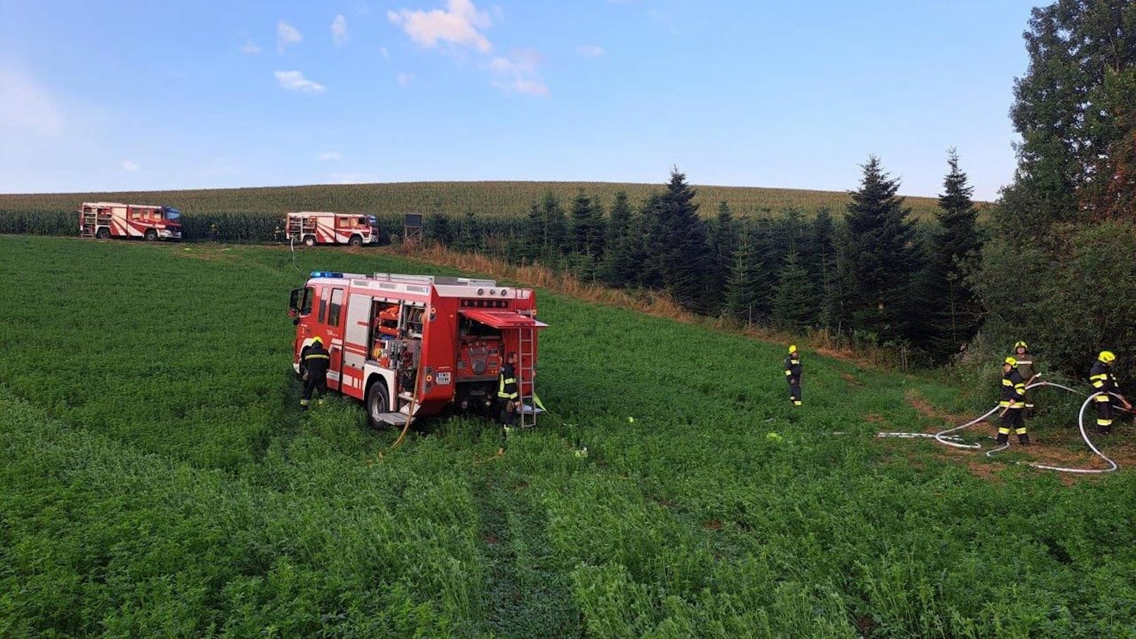 Die Feuerwehr konnte im Bezirk Neunkirchen einen großen Waldbrand verhindern