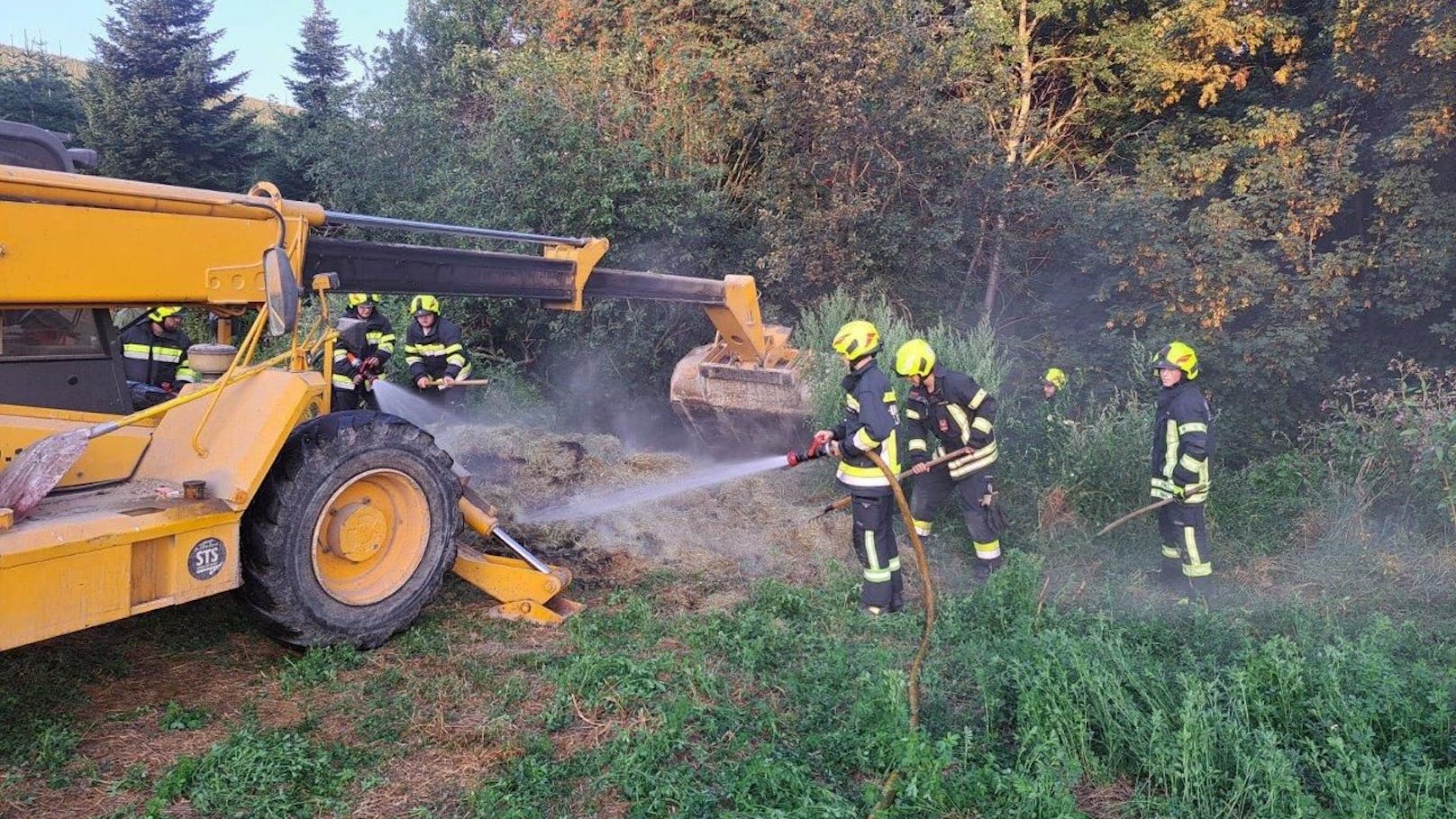 Die Feuerwehr konnte im Bezirk Neunkirchen einen großen Waldbrand verhindern