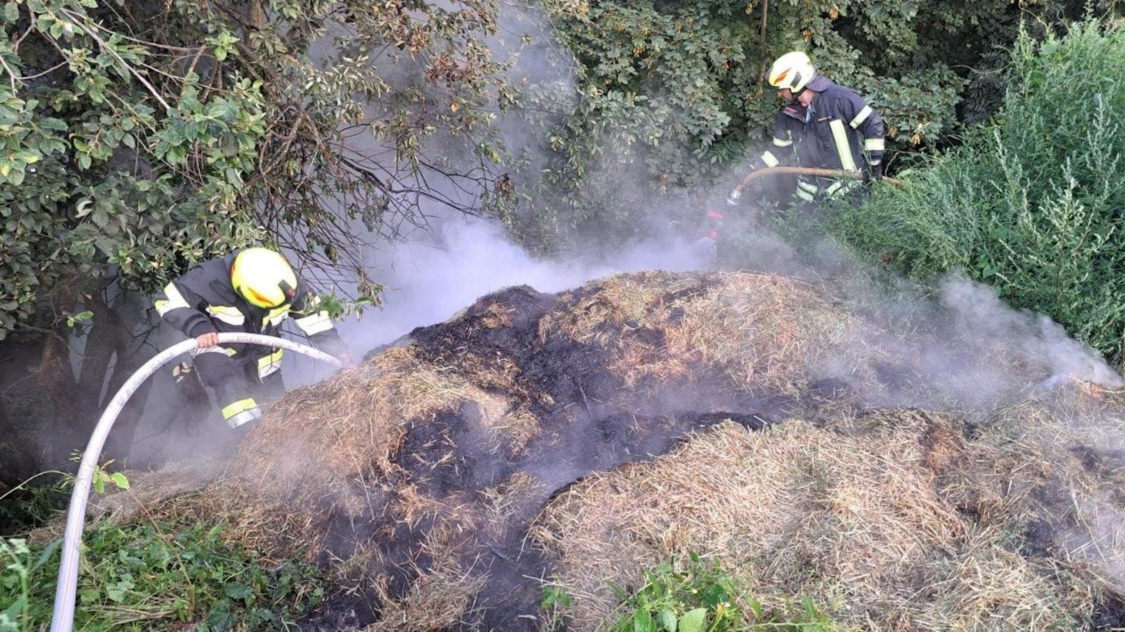 Die Feuerwehr konnte im Bezirk Neunkirchen einen großen Waldbrand verhindern